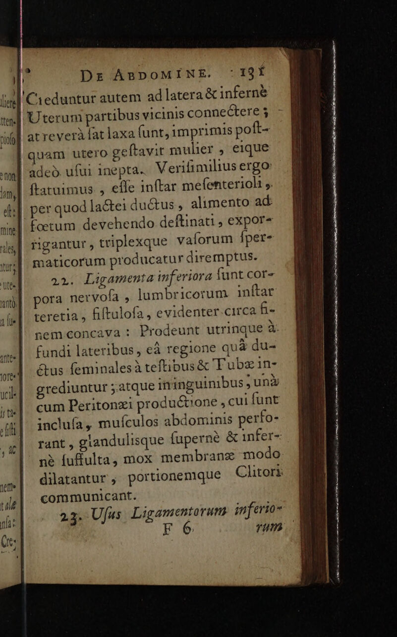 l Dr ABDOMINE. :I$Í ie] Cieduntur autem ad latera &amp; inferne Uterum partibus vicinis connectere 3 | at reveràlat laxa (unt, imprimis poft- | quam utero geftavit mulier , eique | adeo. ufui 1nepta. Verifimilius ergo: ftatuimus. , effe inftar mefenteriol ,. || per quod lactei du&amp;us, alimento ad foetum devehendo deftinati , expor- rigantur , triplexque vaíorum Íper- maticorum producatur diremptus. 221. Ligamenta inferiora funt cor- pora nervofa , lumbricortum inftar teretia , fiftulofa, evidenter circa &amp;- grediuntur ;atque ininguinibus ,una cum Petitonzi productione , cui funt inclufa, mufculos abdominis perfo- rant , giandulisque fuperne &amp; infer- - pe fufulta, mox membranz modo dilatantur , portionenique Clitori communicant. 23. Uus. Ligamentorum inferio- F6 rum me LEE EST
