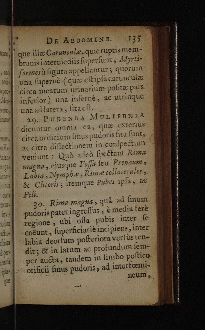que ille Caruncule, quz ruptis mem- branis intermediis fuperfunt Myrti- formes àhgura appellantur ; quorum una fuperné (quz eftipfacaruncuize circa meatum urinarium pohitz pars inferior) una inferne , ac utrinque una ad latera , fita eft. 29. PUDENDA MULITfBR!A dicuntur omnia ea, qu£ exterius liv circaorilicium ac citra diffeétionem in confpectum veniunt : Quo 2 leo fpectant Rima aieu Promaums, E usd ( Los endeme«tiraltün ius pudorii5 lita iunt, I magna , ejusque FolJ. Labia , Nympbe , Rame collaterates &amp; Clitori; ; itemque Pubes ipfa, ac Pih. 30. Rima magna quà ad finum pudoris patet ingreflus , &amp; media fere regione , ubi offa pubis inter fe coeunt , fuperficiarie incipiens inter labia deorfum pofteriora ver! üsten- orificii finus pudoris ; ad interfoemi- -— / AW, ates UH imei IY Lites OR PP m af iT m eh in stris a gti m i tr js aQAN&amp; I c Murs MAT ves s MCN vous sad MI d feb a jt Y rn Pj - ph ot emt iod o til PUPA roi D LA