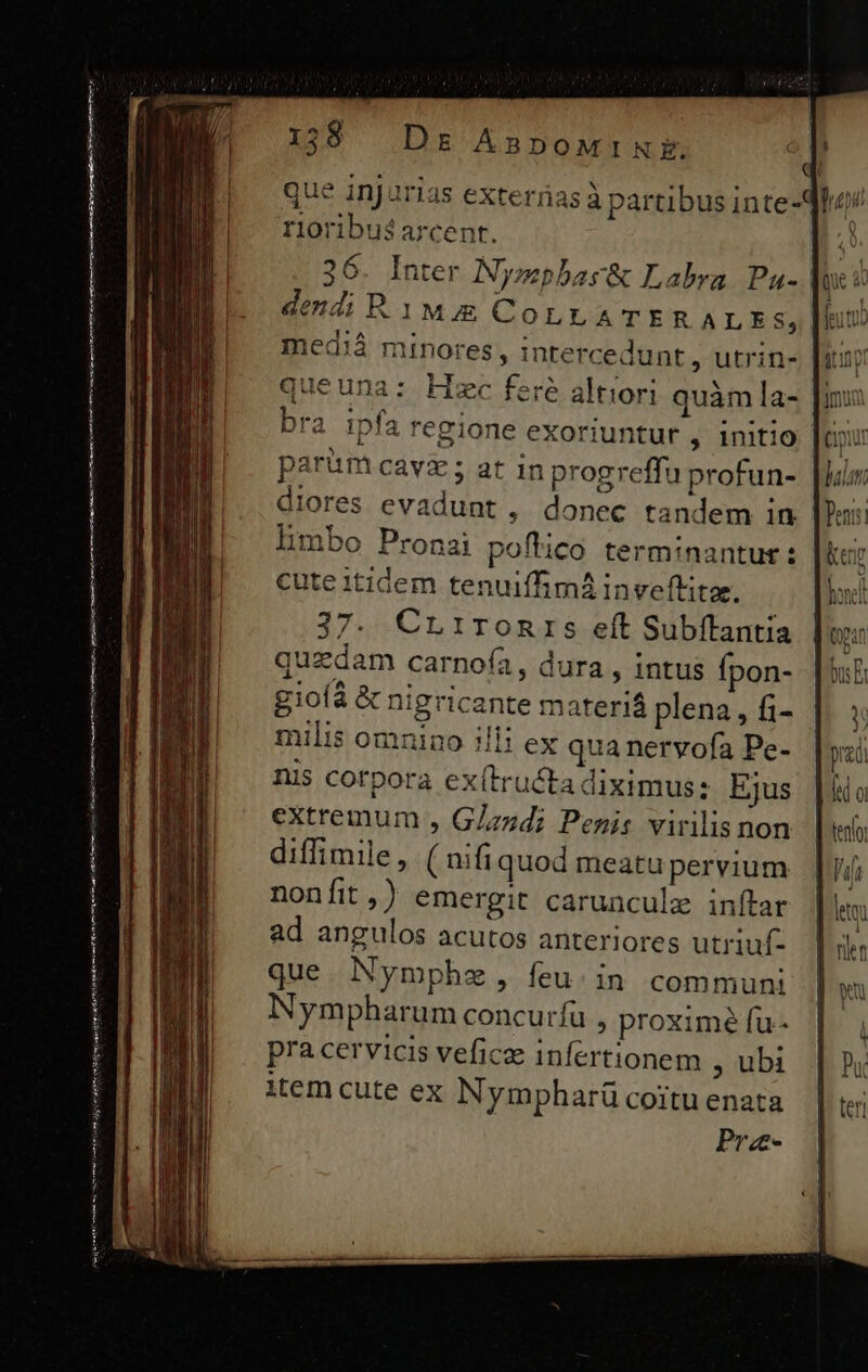 que injurias exterrias à partibus inte-df«/ rioribus arcent. | 36. Inter Nysphasr&amp; Labra. Pau-.| dendi B. 1M COLLATERALEs, mediá minores, itercedunt , utrin- queuna: Hsc fere altiori quàm la- bra ipfa regione exoriuntur , Initio parum cavz; at in progreffu profun- diores evadunt , donec tandem in limbo Pronai poftico terminantur: cute tidem. tenuiffimá inveftita., 37. Cru1ironrs eít Subftantia quzdam carnoía, dura , intus fpon- gioíà &amp; nigricante materiá plena, fi- milis omnino i! ex qua nervofa Pe- nis corpora ex(tru&amp;ta diximus: Ejus extremum , G/zzd; Penis virilis non diffimile, ( nifiquod meatu pervium nonfit,) emergit carunculz inftar ad angulos acutos anteriores utriuf- que. Nymphz, feu: in communi Nympharum concurfu » proximé fu- pra cervicis veficz infertionem , ubi item cute ex Nympharü coitu enata —— [Ua ots nit ri E aiia erdt et eni etr