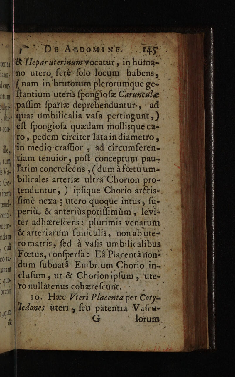 .[no utero, fer&amp;- folo locum habens, antium uteris fpongiofz Caruutule J| paffim fpatía deprehenduntur:, ad . l'eft fpongiofa quzdam mollisque ca- /to , pedem circiter latain diametro , ], |in udi craffior , ad circumferen- im | tiam tenuior, poft conceptupi pau- ;V, | latim concrefcens , ( dum à foetuum- ;Ge | bilicales arteri&amp;. ultra Chorion pro- sd ro matris, fed à vafis umbilicalibus j e0 tüe | vali dum fubnatà Embr.um Chorio in- : quo i| TO EOD cohzrefcunt. | ro. Hec Vteri Placenta per Coty- Wedones üter1 4 feu patentia Valcu- RR inta a ie EH meet c EAR pee SIT HERE M pie m mt ad Ly m ma TO rec 99 TI enn ue