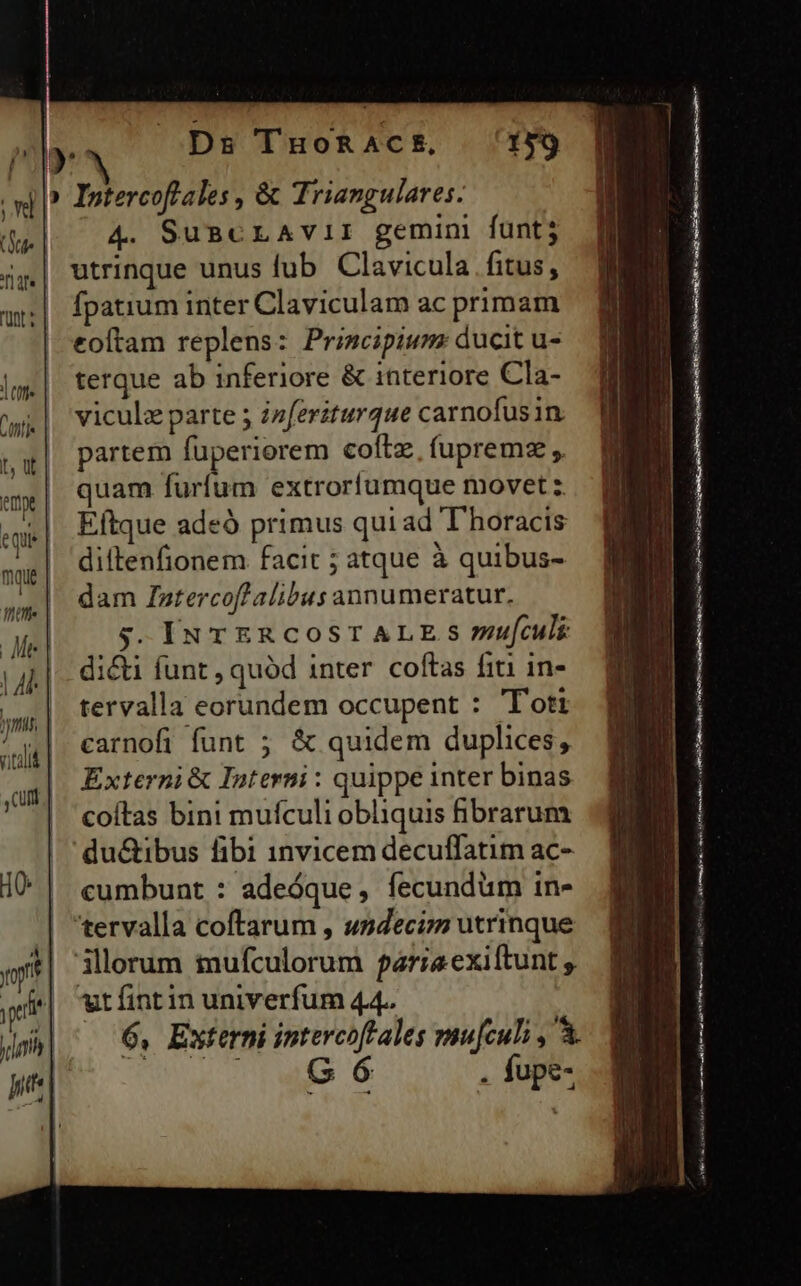 v] p? Iptercoflales , &amp; Triangulares. 4. SuscLAviI gemini funt utrinque unus fub Clavicula . fitus , fpatium inter Claviculam ac primam eoftam replens: Priscipium: ducit u- terque ab inferiore &amp; interiore Cla- viculz parte 5 izferiturque carnofusin partem fuperiorem coftz, (upremz ;. quam furfum extroríumque movet z Eftque adeó primus qui ad Thoracis diftenfionem facit ; atque à quibus- dam Iztercofl alibus annumeratur. $. IN TERCOST ALE S 7zufculi dici funt , quód inter coftas fiti in- tervalla eorundem occupent : 'T'ott carnofi funt ; &amp; quidem duplices, Externi &amp; Interni : quippe inter binas coítas bini muículi obliquis fibrarum du&amp;ibus fibi 1nvicem decuffatim ac- cumbunt : adeóque, fecundum in- 'tervalla coftarum , wndecizz utrinque illorum tufculorum fariaexiftunt ut fint in univerfum 44.. — 6, Externi intercof ales mu[culi , A. Tu LO Ws 6 . fupe- m———— MÓN E