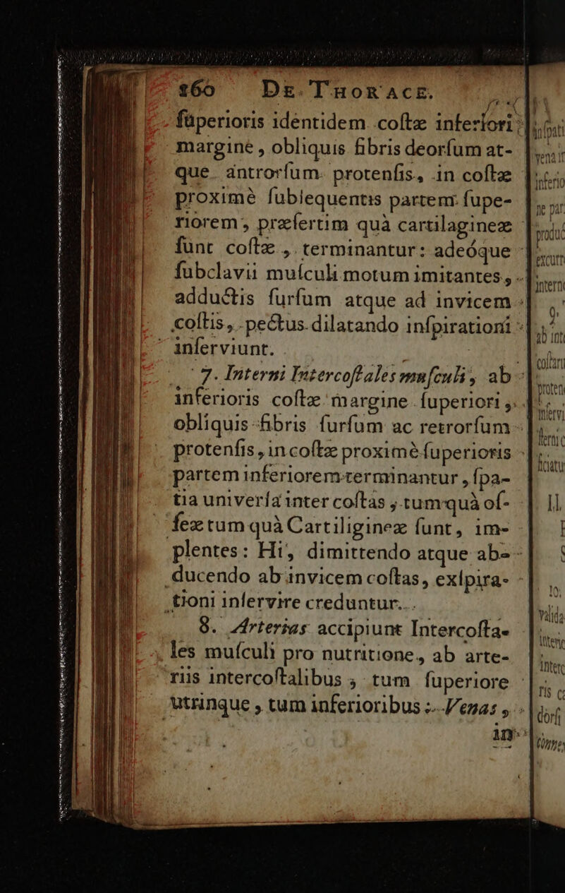 Pérsi£rbeb Xe ti Vra c ct ong p am m e qnt ponuntur eon ^f füperioris identidem..coftz interion proximé fublequentis partenr. fupe- riorem; praefertim quà cartilaginez obliquis «fibris furfum ac retrorfum partem inferiorem.terminantur , fpa- tia univeríz inter coítas ; tumrquà of- plentes: Hi, dimittendo atque ab - 9. frterias accipiunt Intercoffa- les muículi pro nutritione, ab arte- [ Tert foutu