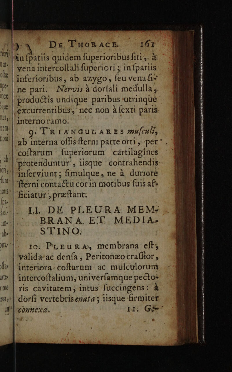 |3in fpatiis quidem fuperioribus fiti ,. à ' | vena intercoftali fuperiori 5; in fpatiis | inferioribus, ab azygo, feu vena fi- ne parl. Nervis à dorlali medulla ,. | produ&amp;tis undique paribus utrinque .excurrentibus, nec non à exti paris internoramo. ash || 9g. TRIANGULARES mu[culi, |. ab intérna offis fterni parte orti, per: |'coffarum íuperiorum cartilagines / | prorenduntur , iisque contrahendis anferviunt ; fimulque, ne à duriore ' |fterni conta&amp;u corn motibus fuis af | ficiatur praftant. IL DE PLEURA: MEM» BRAN A. ET. MEDIA- STINO. :0; PuEuR &amp;, membrana eft; | valida: ac den(ía , Peritonzocraflior, | interiora: coftaruüm ac mufculoruná * | intercoftalium, univerfamque pectos t| ris cavitatem; intus fuccingens: à. || dorfi vertebris ezat2 ; iisque firmiter Il| connexa. Ml. Gée M d PR e t d LA at EA rc 1 Y 9-0