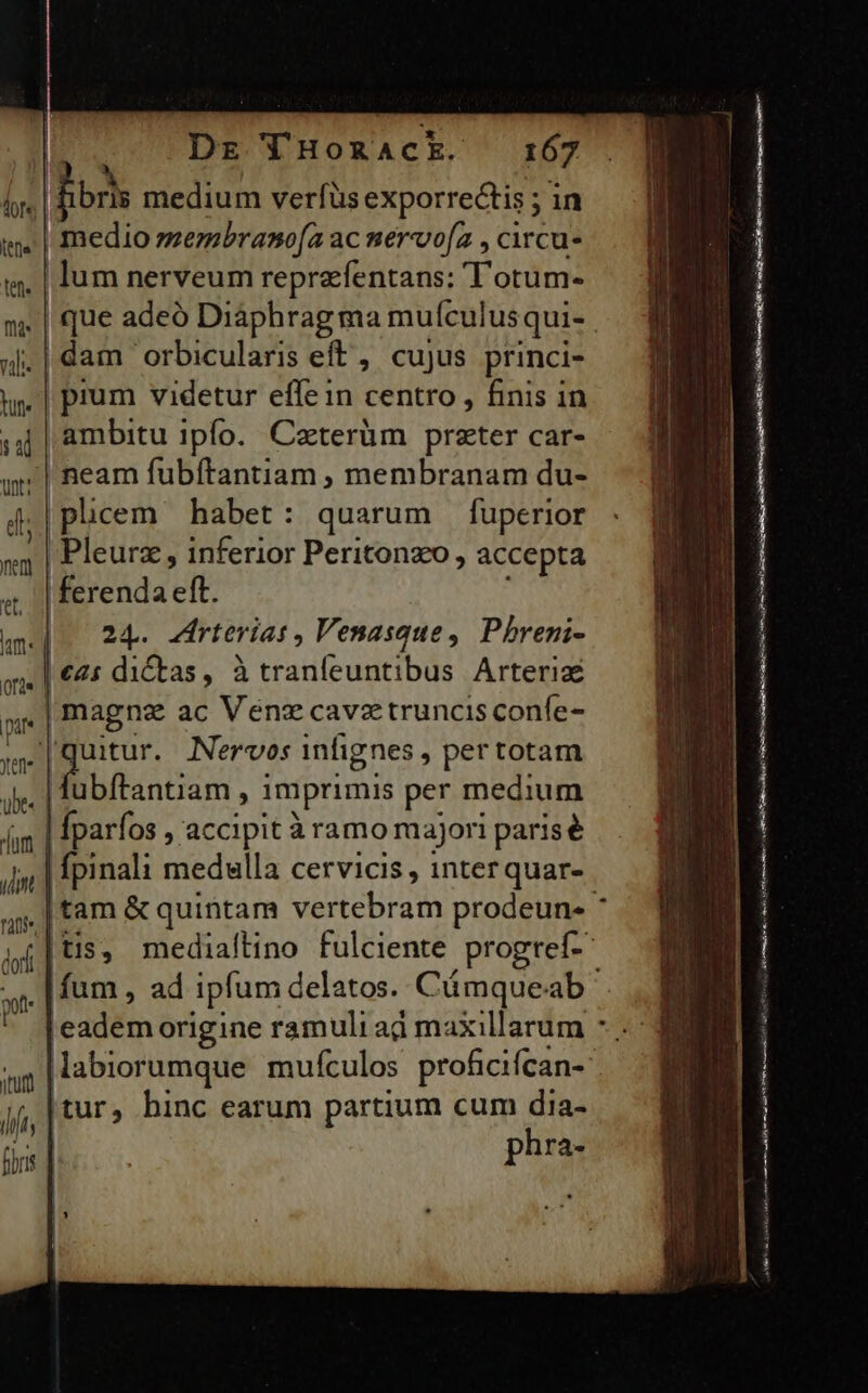 fibrls medium verfüs exporrectis ; i | medio »zermbrano[a ac nervo[z , circu- . | lum nerveum reprzfentans: Totum- que adeó Diáphragma mufculus qui- .| dam orbicularis eft , cujus princi- | prum videtur effein centro , finis in | ambitu ipfo. Caterüm prater car- neam fubítantiam , membranam du- |pucem habet: quarum fuperior | Pleurz , inferior Peritonzo, accepta ferenda eft. IM oar. Arterias , Venasaue , Pbreni- c4: dictas, à tranleuntibus Arteriz | magna ac Venzcavztruncis confe- E Nervos infignes , pertotam .|fubftantiam , imprimis per medium | fparfos , accipit à ramo majori parisé | | fpinali medulla cervicis , interquar- ,|tam &amp; quintam vertebram prodeun- * [tis, mediaítino fulciente progreíf- .|fum , ad ipfum delatos. Cámqueab | eadem origine ramuli ad maxillarum * /labiorumque mufculos profici Ícan- tur, hinc earum partium cum dia- PM e Ra PA mr mtt LR mad UE rc Y LUI on 1e uti