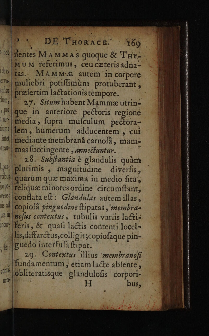 | flentes MAMMA s quoque & 'T'uv- deg | ^ muliebri potiffimüm protuberant , innt | praefertim lactationis tempore. dun, | jm | fife CUm: que in anteriore pectoris regione (media, fupra muículum pectora- lem, humerum adducentem , cui it mediante membraná carnofá, mam- t mas fuccingente , appedluntur. V 28. Subftantiz e glandulis quàmà Lpat YtiDUS. | üopte quarum quz maxima in medio fita; 'Telique minoresordine circumftant, conflata eft: G/azdulas autem illas, li i ICopiofà pinguedine ftipatas ,'zsembra- uL wofus contextus, tubulis variis lacti- Wuiferis, & quafi la&tis contenti locel- Ilis,diffarctus,coll; gi ;copiofaque pin- |guedo interfufa ftipat. E bus,