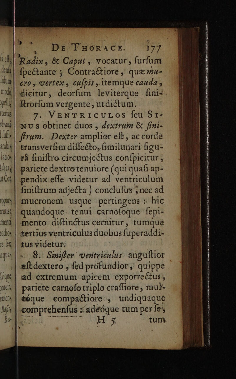 f d M. ffe latiós )] Miet zen. | Man he ) fpectante ; Contractiore, quz mu- cv , vertex , cufpis ,.Ytemque cauda dicitur, deorfum leviterque fini- ftroríum vergente; utdictum. 7. VENTRICULOS feu S 1* X U s obtinet duos , Zextrum &amp; fini- transverlim diffecto, fimilunari hgu- pariete dextro tenuiore (qui quaft ap- pendix effe videtur ad ventriculum mucronem. usque pertingens :- hic quandoque tenui carnofoque fepi- mento diftinCtus cernitur, tumque tertius ventriculus duobus fuperaddi- £us videtur; S. Simifler ventriculus anguftior ad extremum apicem exporrectus, paricte carnofo triplo craffiore, mur- H s tum. epe m n d Lu iit QI rare I LE rn) € lioe