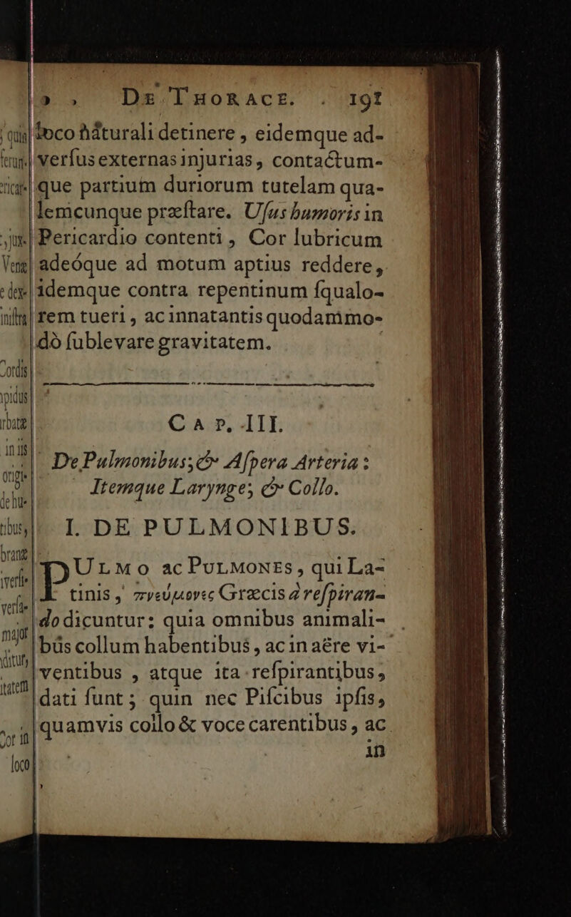 'qis| oco idturali detinere , eidemque ad- te verfus externasinjurias, contactum- ig. que partium duriorum tutelam qua- lemcunque przeftare. Ufus bumoris in ue | Pericardio contenti, Cor lubricum lm adeóque ad motum aptius reddere, '&amp;e| idemque contra repentinum fqualo- iln| fem tueti , acinnatantis quodamimo- ;dó fublevare gravitatem. fim a — M — C A r, III. no - De Pulmonibus Afpera Arteria : Li |... Jtemque Larynge; c Collo. I. DE PULMONIBUS. 'TyULMo ac Purwoxrzs, qui La- E. tinis zvespiorec Graecis 2 refpiran- ido dicuntur: quia omnibus animali- Ibüs collum habentibus, ac in aére vi- | ventibus , atque ita refpirantibus , um]. n. : p UU Idati funt ; quin nec Pifcibus ipfis, in pov ——— ———— d