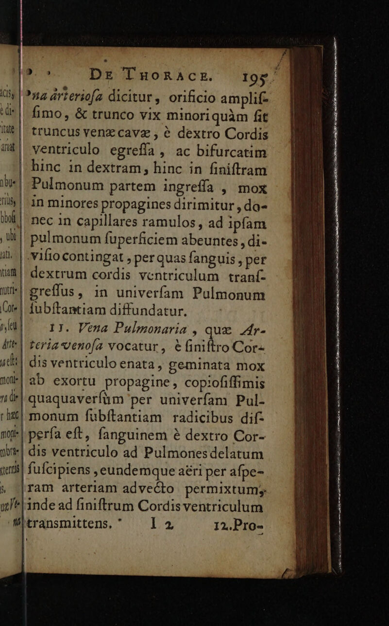 Dg Tuonaczk. ua árteriofa dicitur, orificio amplif- fimo, &amp; trunco vix minoriquàm fit truncus venzcava , é dextro Cordis ventriculo egrefífa , ac bifurcatim | hinc in dextram, hinc in finiftram ii| Pulmonum partem ingreffa , mox lii | in minores propagines dirimitur , da- id nec in capillares ramulos , ad ipfam | pulmonum füperficiem abeuntes, di- il. | .vifio contingat , per quas fanguis , per | dextrum cordis ventriculum traní- w| greffus, in univerfam Pulmonum Gt«| fubftamntiam diffundatur. nal ir. Vena Pulmonaria , quz r- ite] feria «enofa vocatur , i iiitro Cor- idi| dis ventriculo enata, geminata mox aot | ab exortu propagine, copiofiffimis de | quaquaverfüm per univerfam Pul- rit! monum fuübftantiam radicibus dif- ny| perfa eft, fanguinem &amp; dextro Cor- ü| dis ventriculo ad Pulmonesdelatum tei] fufcipiens , eundemque ari per afpe- &amp; |ram arteriam advecto permixtum; ul*| inde ad finiftrum Cordis ventriculum s MItransmttens. la 12.Pro- is de ltate. | aia cali ede aereo od aci UE a REL ER tradi a e rmt » ente c FLA at i UR A ced E ir ——