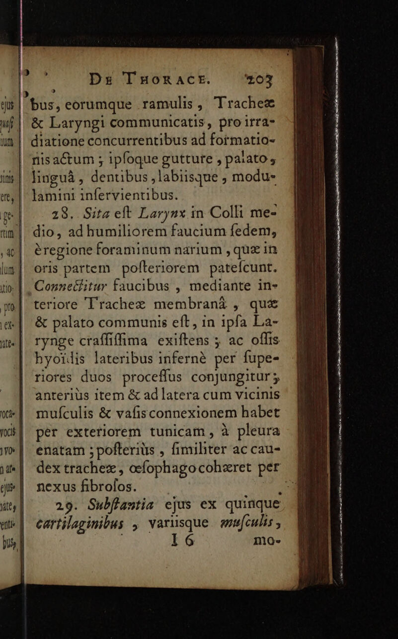 bus, eorumque .ramulis , Trachez | &amp; Laryngi communicatis , pro irra- | diatione concurrentibus ad formatio- risa&amp;tum ; ipfoque gutture , palato, linguá , dentibus ,labiisque , modu- lamini infervientibus. 28.. Sita eft Larynx in Colli me- dio, ad humiliorem faucium fedem, éregione foraminum narium , quz in oris partem pofteriorem pateícunt. Conneilitur faucibus , mediante in- teriore 'l'rachee membranáà , quz &amp; palato communis eft, 1n ipfa La- rynge craffiffima exiftens 5 ac offts hyoilis lateribus inferné per fupe- riores duos proceffus conjungitur; anterius item &amp; ad latera cum vicinis muículis &amp; vafisconnexionem habet per exteriorem tunicam , à pleura enatam ;pofterius , fimiliter ac cau- nexus fibrolos. : 29. Subfiastia ejus ex quinque cartilaginibus , varusque. smefculis , | I6 mo- acit eR 2 RN i as EIE en SU A AR, ee n ti Lr mit UAI re 9 Ly en