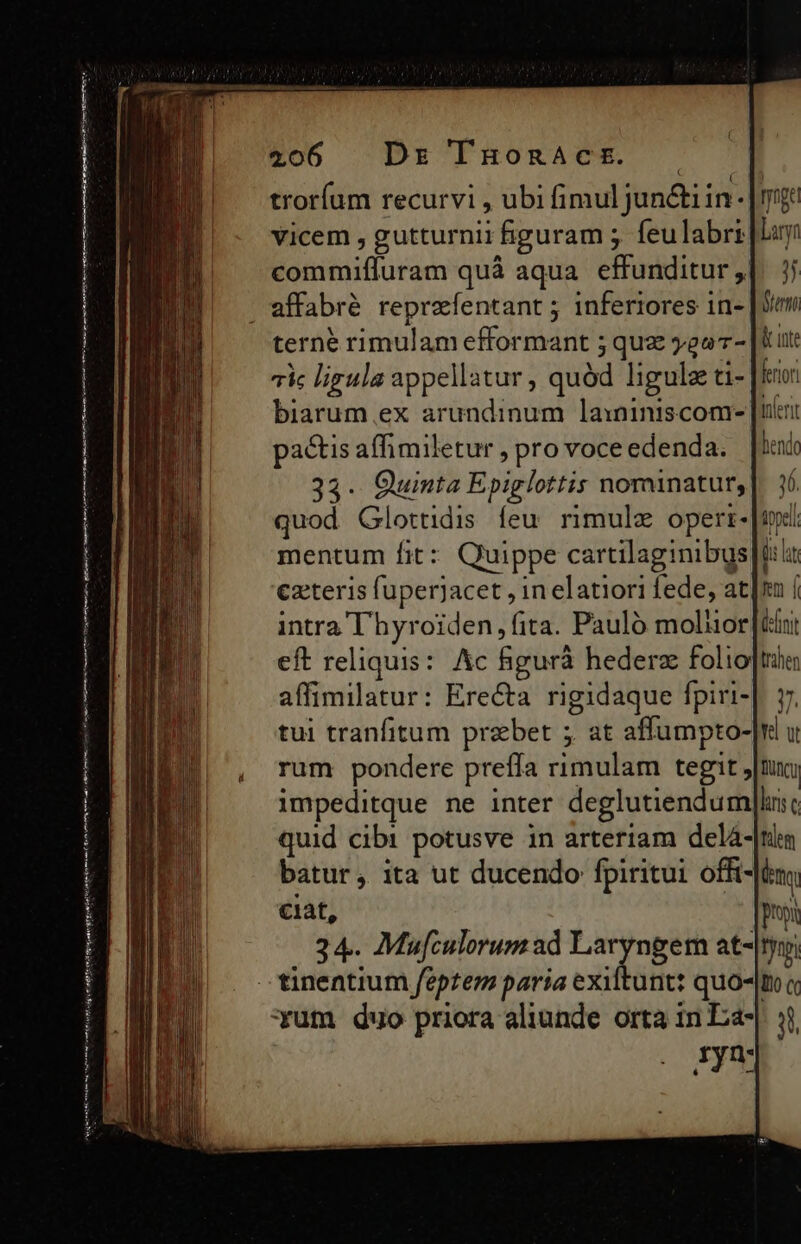 ( £06 Dz THonRnAc£E. -. troríum recurvi , ubi fimul jun&amp;i in - | gt vicem , gutturnii figuram ; feulabri liy commiffuram quà aqua effunditur ,| jj terne rimulam efformant ; quz ygo- |t ut: 7ic ligula appellatur , quód ligul ti- rir biarum ex arundinum laininiscom- [ulent pactis affimiletur , pro voce edenda. Bend 33. Quinta Epiglottis nominatur,|. 16 quod Glottidis feu rimulz operi. iel mentum fit: Quippe cartilaginibus t: czteris fuperjacet , in elatiori fede, at|nn íi intra T'hyroiden, fita. Pauló molior eft reliquis: Ac figurà hederz folio]tiha affimilatur: Ere&amp;ta rigidaque fpiri-|. y tui tranfitum przbet 5. at affumpto-|r u rum pondere preffía rimulam tegit jt impeditque ne inter deglutiendum]hrs quid cibi potusve in arteriam delá-|tim batur, ita ut ducendo fpiritui offi- tq ciat, | Po 34. Mufculorum ad ped s at- ni Hy