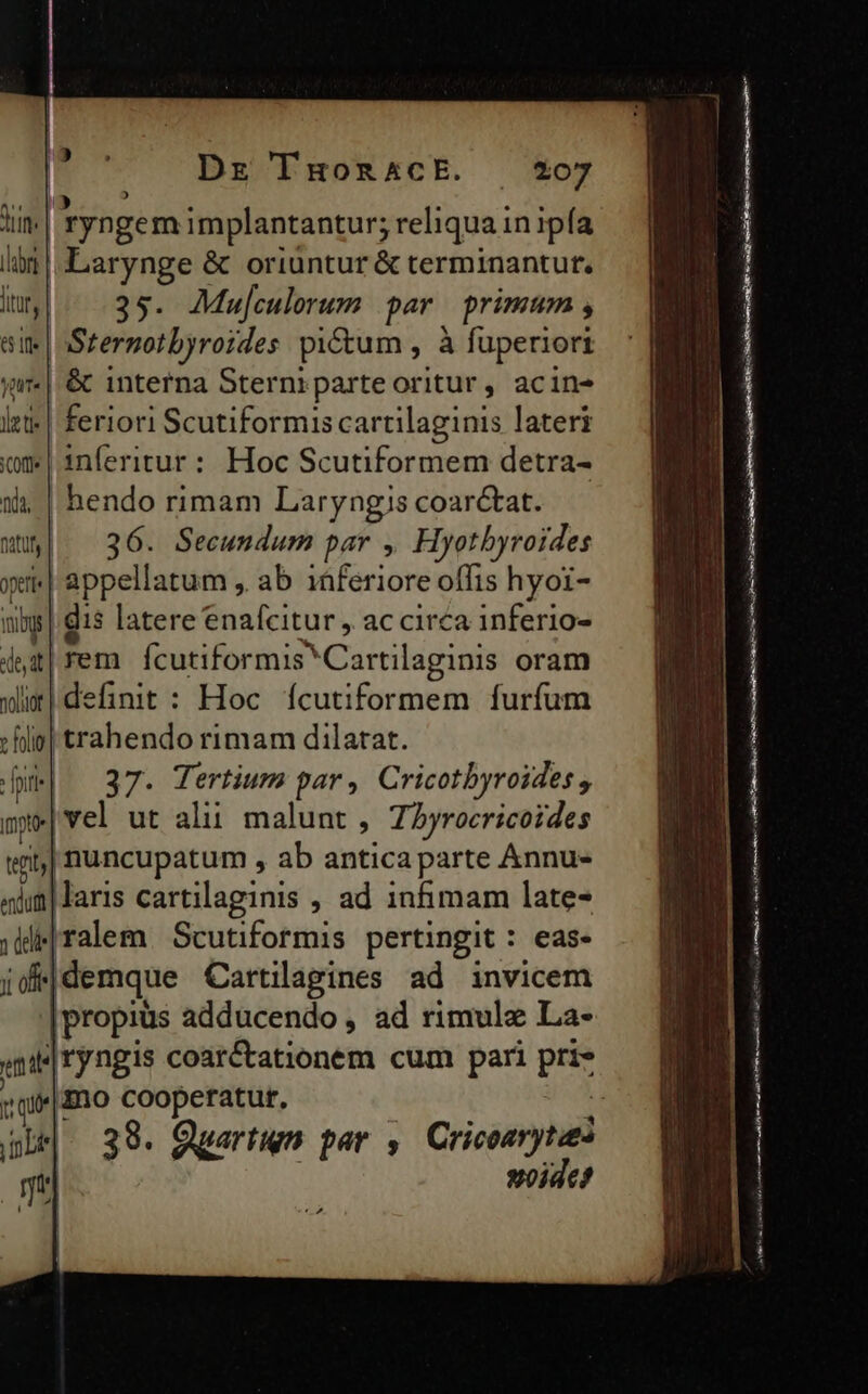 b Dr Tuüom5cE. dune | ryngem implantantur; reliqua in ipía làn | Larynge &amp; oriuntur &amp; terminantur. i|. 35. JMufculorum par primum , aie | Stermotbyroides pi&amp;tum , à fuperiori j| &amp; interna Sternrparte oritur, acin- lt» | feriori Scutiformis cartilaginis lateri vm | inferitur : Hoc Scutiformem detra- tà, | hendo rimam Laryngis coarctat. mi 36. Secundum par , Hyotbyroides yi | appellatum , ab inferiore offis hyoi- m dis latere enafcitur , ac circa inferio- dyz| rem | fcutiformis Cartilaginis oram xlix] definit: Hoc Íícutiformem furfum filio] trahendo rimam dilatat. i 37. Tertium par, Cricotbyroides , ny vel ut alii malunt , 72yrocricoides tni| nuncupatum , ab antica parte Annu- «im laris cartilaginis , ad infimam late- ;di|ralem. Scutiformis pertingit : eas- y offe] |demque Cartilagines ad invicem |propius adducendo, ad rimulz La- qi ryngis coarctationem cum pari pre jqi|ano cooperatut. —— mti svoide? ce eie aei ip nia io E itai e ei SH enm tai Mee reino V eng tm mt a [Ai ma TE ere LE tn