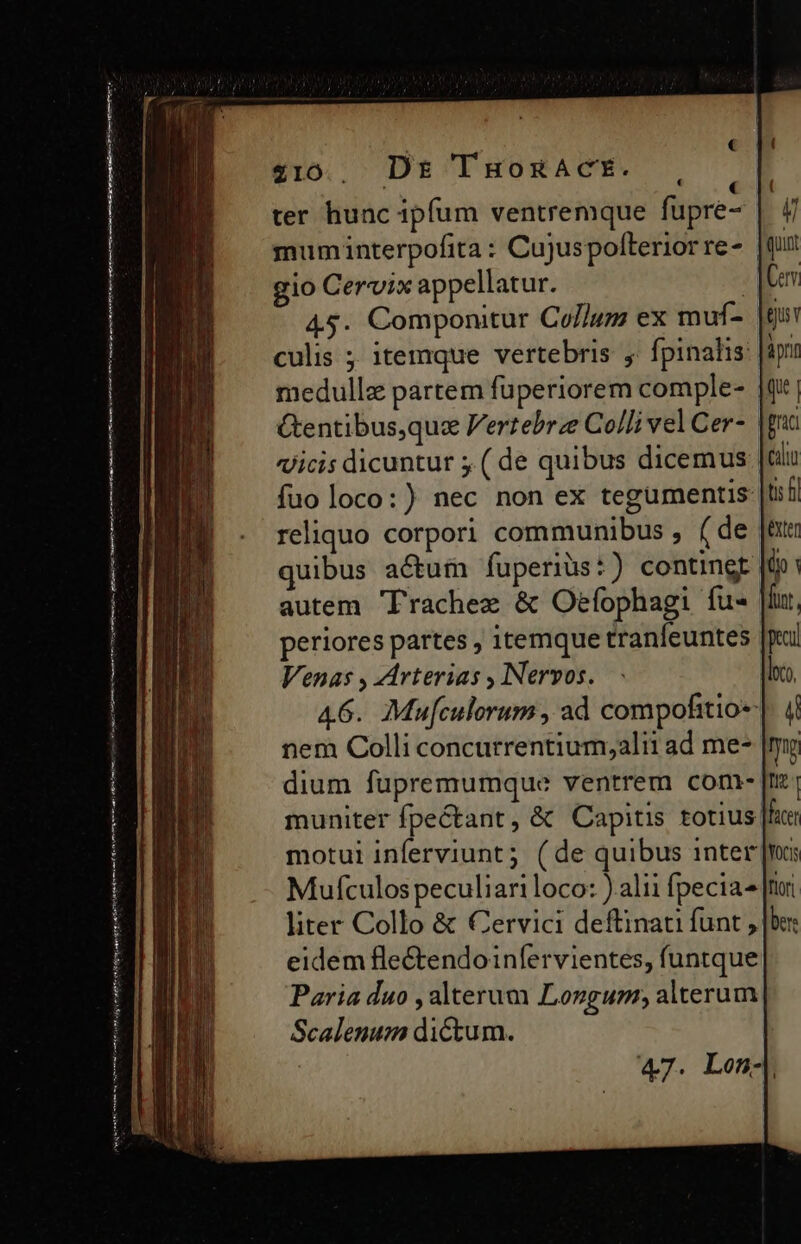 qucm t em aee eim os 210. Ds THoRACE. , ter hunc ipfum ventremque fuüpre- muminterpofita : Cujuspolterior re- | gio Cervix appellatur. gd 45. Componitur Co//um ex muf- culis ;; itemque vertebris j. fpinahis medullz partem fuperiorem comple- Gentibus,que ertebrz Colli velCer- | fuo loco:) nec non ex tegümentis reliquo corpori communibus , ( de quibus actum fupenüs:) contingt autem Trachex &amp; Oefophagi fu | periores partes ; itemque tranfeuntes Venas , Arterias , INervos. 46. Mu[culorum , ad compofitio- nem Colli concurrentium;alii ad me- dium fupremumque ventrem com- muniter fpe&amp;tant, &amp; Capitis totius motui inferviunt; (de quibus inter Mufculos peculiari loco: ).alii fpecia- [nor liter Collo &amp; Cervici deftinati funt, eidem fle&amp;endoinfervientes, funtque Paria duo , alterum Longum; alterum. Scalenuz dictum. 47. Lon-