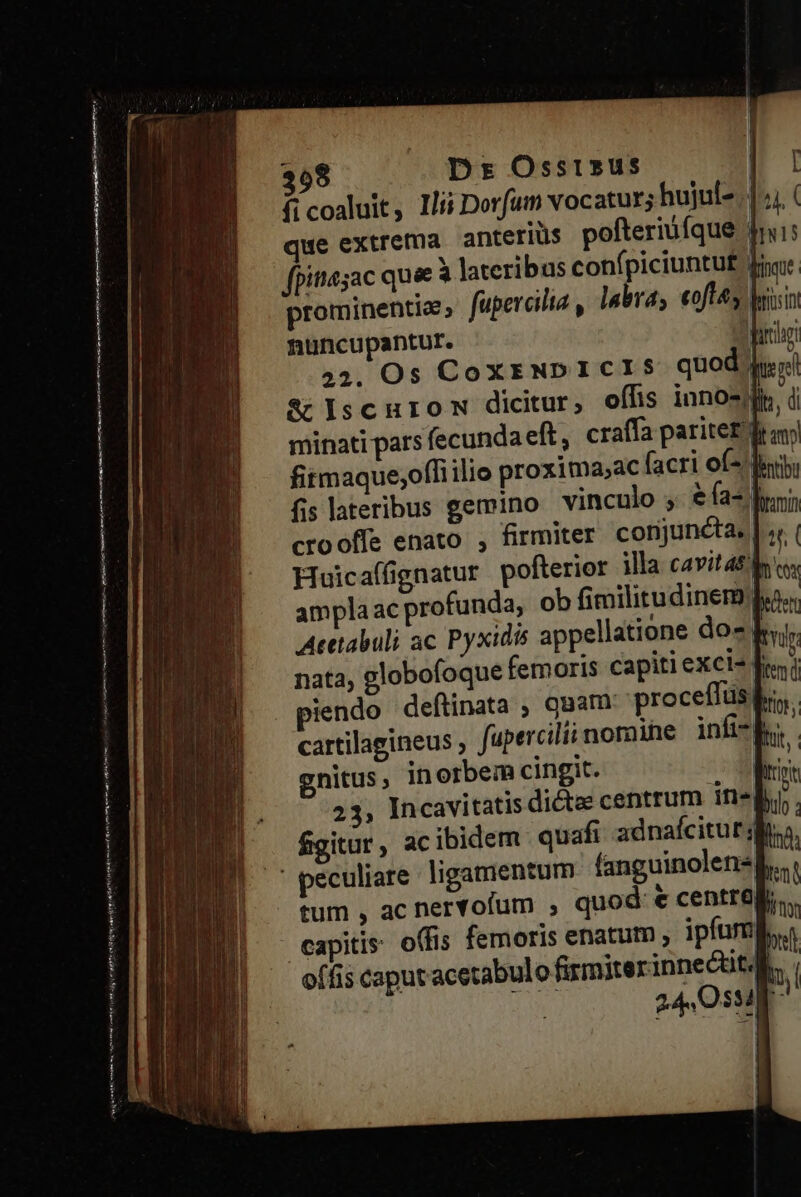 Huicaífignatur po | amplaacprofunda, ob fimilitudinemj Acttabuli ac Pyxidis appellatione dos nata, globofoque femoris capiti exci- | iendo deftinata , Qaam: proceffüsd cartilagineus ; fupercilii noraine infi-f gnitus, inorbem cingit. i 23, Incavitatis dicte centrum in-l fgitur, ac ibidem quafi adnafcitur jd fanguinolens quod: € centreg eser sa tnmen ( emm eim ai aiti | capiti offis caput acet
