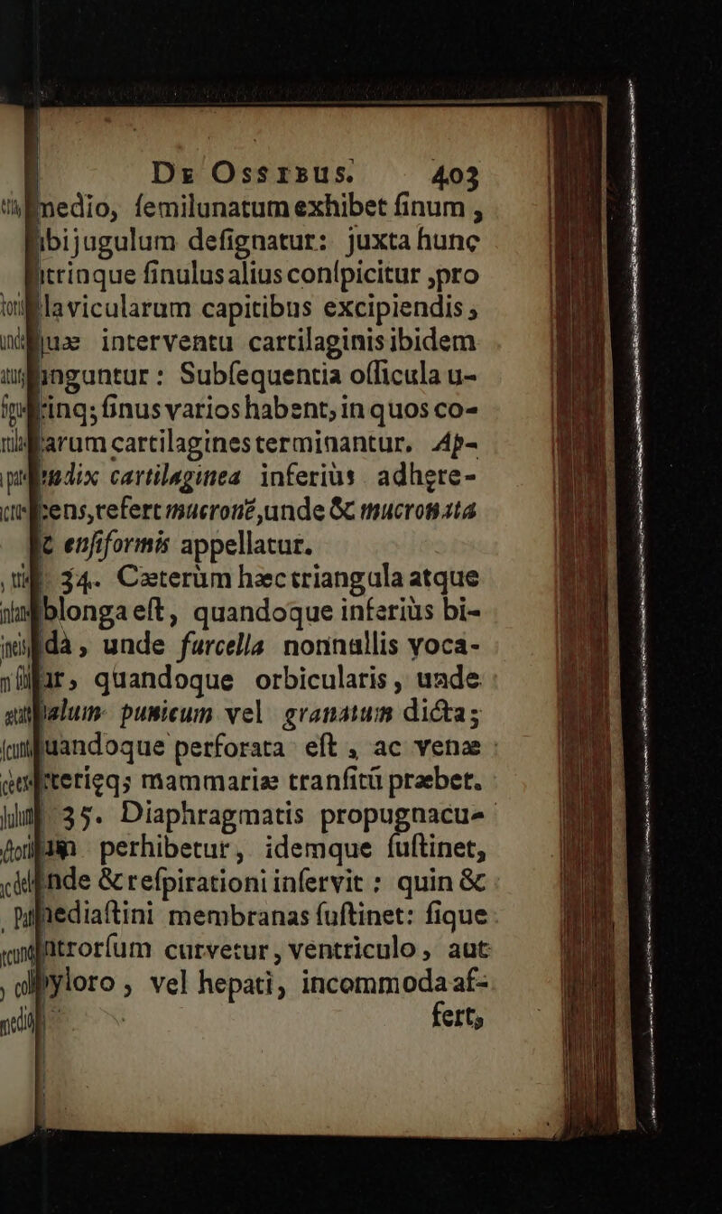 Immedio, femilunatum exhibet finum , libijugulum defignatur: juxta hunc itcinque finulusalius conípicitur ,pro oilllavicularum capitibus excipiendis ; jux interventu cartilaginisibidem inguntur : Subfequentia o(ficula u- ring; finus varios habent; in quos co- arumcartilaginesterminantur, A4p- dix cartilaginea: inferius | adhgre- :ens,refert macrone,unde GC mucrosiata Ic enjfiformis appellatur. | 34. Ceterum hectriangula atque (xiii | perhibetur, idemque (uftinet, cil nde &amp; refpirationi infervit : quin &amp; .papiediaftini membranas fuftinet: fique «fitroríum curvetur, ventriculo, aut diyloro ; vel hepati, incommoda af- T E | fert; Li iat i it mat E Br E34 Ea Er a dame tne tt