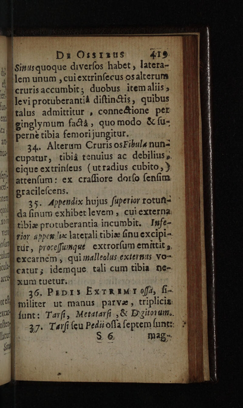 i Isitis quoque diverfos habet , latera- ilglem unum , cui extrinfecus os alterum Jg erutis accumbit; duobus item aliis ; levi protuberantià diftin&amp;is, quibus Agtalus admittitur , conne&amp;ione per Tem fadi, quo modo &amp; (u- , perne tibia femori jungitur. E. 34. Alterum Cruris osFibula nun- B cupatur, tibiá tenuius ac debilius 5. f eique extrinfeus (utradius cubito, ) [| ex cra(fiore dorío fenfim. ud Q li pracileícens. 35. Appendix hujus fuperior rotuft- | da finum exhibet levem , cuiexterna: P eatur; idemque. tali cum tibia. ne- ICE xum tuetur. - |. 36. Pzxprs ExTREMT offa, fi- uda militer ut manus parvae, triplicis: XU funt: Tarfí, Metatarfi ,&amp; D»gitordm,, — | UE 37. Twrfi(eu Pediioffa feptem Íunt:: |. d fu s S 6. H mag -- SE nm— ÓÓ Qc m M