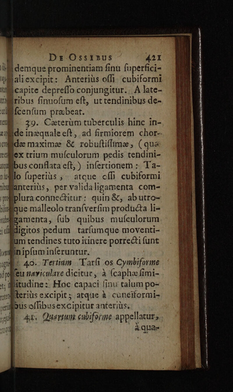 | ] j Dr Osstsus 42I ul jdemque prominentiam finu fuperfici- 4Maliexcipit: Anteriüs offi. cubiformi u |capite depreffo conjungitur... À late- ribus finuofum eft, ut tendinibus de- ullifcenfum praxbeat. WM. 29. Caterüm tuberculis hinc in- «olde inzquale eft, ad firmiorem chor-- jJ [de maxime &amp; robufliffime, (qua ex crium muículorum pedis tendini- bus conflata eft,) infertionem :- T a- lo fuperius ; atque cí[ cubiformi anterius, pervalidaligamenta com- Bplura conne&amp;titur: quin &amp;, abutro- n. ique málleolo tranfverfim prodnéta li- wMgamenta, fub quibus mufculorum idilidigitos pedum tarfumque moventi- jum tendines tuto itinere porrecti (unt D piri inferuntur. qi 4o. Tertium T arf os Cymbiforme dps feu raviculare dicitue ,, à (caphae fimi- v; if litudine :: Hoc capaci finu talum po- wufterius excipit s atque à cuneiformi- ye bus effibusexcipitur anteriits, Ax. Quartum cubiformne appellatur; sqm iu reu | d !  m————— go