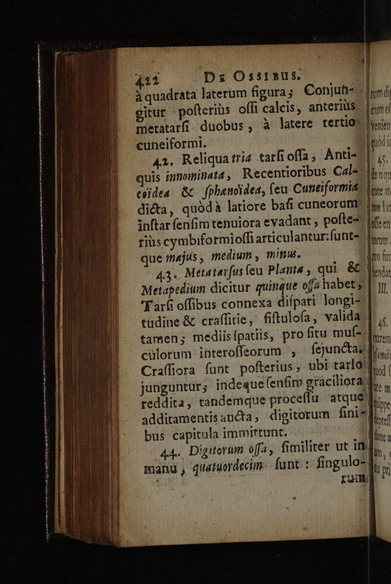 s D Dz Ossisus. 22 : E oui laterum figura; Conjuft- : Iii gitur - pofteriüs offi calcis, anteriüs [and fnetatarfi duobus, à latere tertios lij cuneiformt. niti uis innominat4, Recentioribus Cale fis; ceidea &amp; fphenoidea, (cu Cuneiformid - di&amp;a, quódà latiore bafi cuneoram fy, inftar fenfim tenulora evadant , pofte- [jt «; riuscymbiformioffi articulantur:funts. lors, que 14jus , medium , minu. o i 43. Metatavfus feu Planta , qui &amp;&amp; 1, Metapedium dicitur quinque ofi habet g | yr 'Far&amp; offibus connexa difpari longi- | - tudine &amp; craffitie,: fiftulofa, valida-] tamen; mediisípatiis, pro fitu muf-]... cülorum interoffeorum fejun&amp;taz fi. Craffiora funt pofterius, ubi tario  | junguntur; indeque (enfim graciliora f. reddita, tandemque proceflu atque J.. à additamentisaucta, digitorum finis P bus capitula immirtunt. . Wo 44.. Digiterim offa, fimilirer ut in]. ^ manu, quatuordecim. funt. : fingulo- f. . fos ap ram