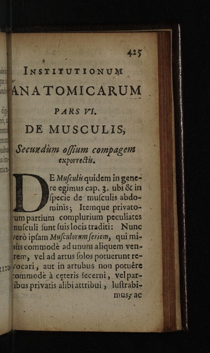 | ! | WE INSTITUTIONUM us P ANS VI. DE MUSCULIS, | oecumdum offrum compagem ing exporrectis, E Mufculis quidem in gene- re egimus cap. 3. ubi &amp; in Bjípecie de mulculis abdo- B. 7 minis; Itemque privato- umpartium complurium peculiates inufculi funt fuislocistraditi: Nunc l A o9 Jrero ipfam Mu/culorem ferien, qui mi- | B | | iiis commode ad unum aliquem ven- rem, velad artus folos potuerunt re- nMyOcari, aut in artubus non potuére tommode à ceteris fecerpi, velpar- libus privatis alibiattribui ; luftrabi- |. mus; ac 1 1 EM E EOD Le ——— i i aer EINER D : tg EDI reel - — M E ————— E*RDERT L7 : i- : eene t rh cj f ett nm— ——— ———Á——— — e :  c ERA MH Ree ot iati Not sa RIA r9 RT AI SIN en
