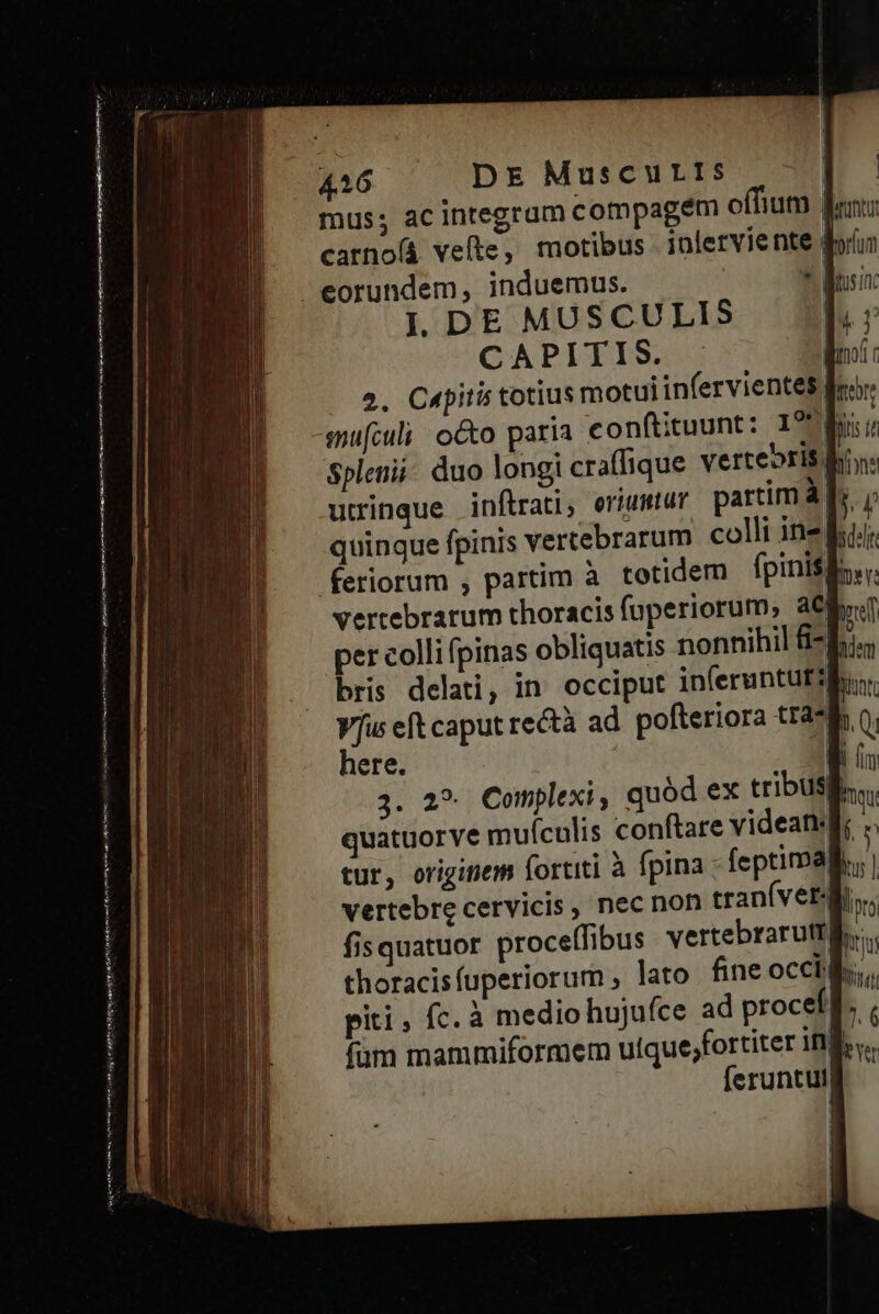 mus; ac integram compagem offium carnoíá vefte, motibus inlerviente dn eorundem, induemus. * Bui I DE MUSCULIS CAPITIS. - | dnoor amufculi oc pis i Splenii duo | yn EP Complexi quód ex tribusg quatuorve muículis conftare videan: tur, originem fortiti à fpina: feptima] vertebre cervicis, nec non tran(ver d. fisquatuor proceffibus vertebrarutrgl lato fine occi; —— B ed