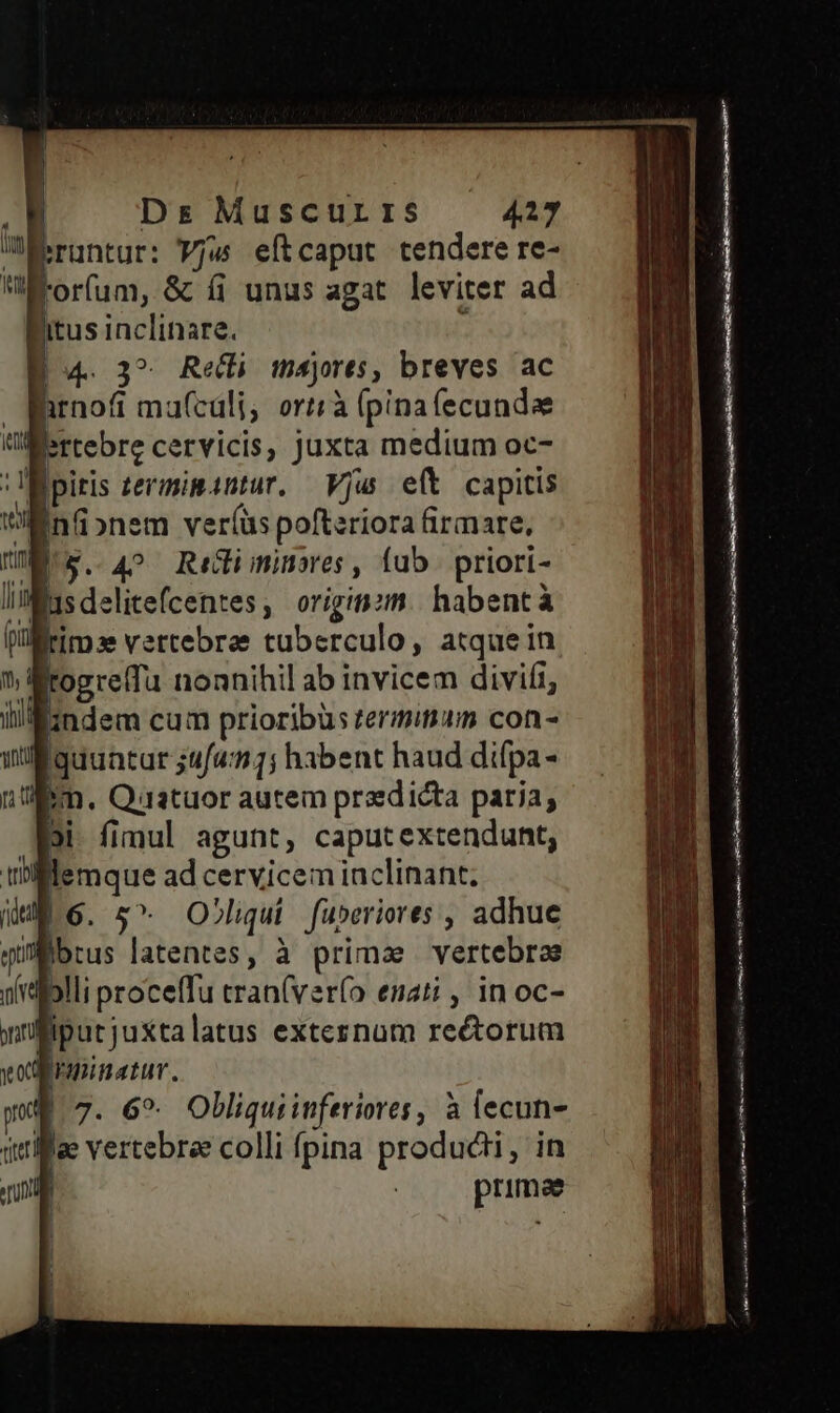 runtur: Vjw eftcaput tendere re- i.orfum, &amp; íi unus agat. leviter ad itus inclinare. ; (4. 3? Reli majores, breves ac Birnofi ma(cáli, orià (pinafecundae ertebre cervicis, juxta medium oc- !piris zermipantur. Vju e(t capitis InGonem ver(üs pofteriora firmare, liiMisdelitefcentes, origin: habentà Wrimae vertebrae tuberculo, atque in lrogrelTu nonnihil ab invicem divifi, indem cum prioribus termin con- iiguuntar ;u/« 1; habent haud difpa- nim. Qaatuor autem predicta paria; Di fimul agunt, caputextendunt, tti Mlemque ad cervicem inclinant; $6. 5^. Oblqui fuberiores , adhue qui librus latentes, à primz vertebrae nidolli procelfu tran(ver(o enati , in oc- nülfiputjuxtalatus exteznum re&amp;orum vo Faupimatur. |.7. 6*. Obliquiinferiores, à tecun- qiiae vertebrae colli fpina producti, in | primae asciutto mij 8 imi o NAE a m EG GENSARS ri arti ian t8 eaten c EE urleiuea I r YR Man