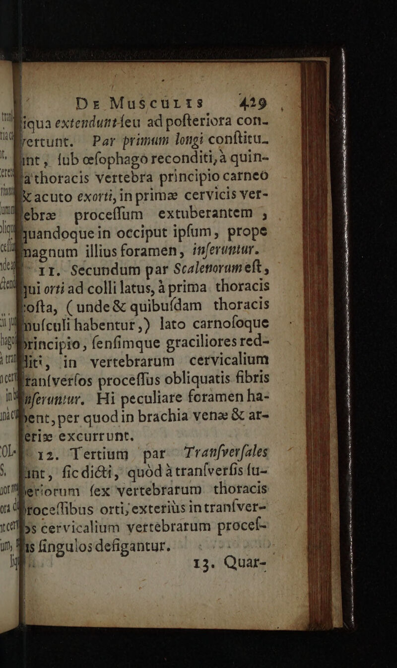 UMiqua extenduitíeu ad pofteriora con- querunt. — Par primum longi conftitu. int, lub cefophago reconditi;à quin- Mathoracis vertebra principio carneo Mx acuto exorti, in primze cervicis vet- WEebre proceffum extuberantem ; Iuandoque in occiput ipfum, prope ui agnum illius foramen, itiferumtur. UA Tr. Secundum par Scaletorum eft, fui orti ad collilatus, à prima. thoracis bofta, (unde&amp; quibufdam thoracis Énuículi habentur,) lato carnofoque principio, fenfimque graciliores red- Bit, in vertebrarum cervicalium t-tan(verfos proceffus obliquatis fibris ini feruntur. Hi peculiare foramen ha- li ent, per quod in brachia vena &amp; ar- leri» excurrunt. | 12. Tertium par Tranfverfales pnt, ficdi&amp;ti, quód à traníverfis fu- jeriorum fex vertebrarum thoracis ni Iroceflibus orti; exterius intraníver- tts cervicalium vertebrarum procef- in fis ingulos defigantur. ———Mrá Qn E EE E  prm