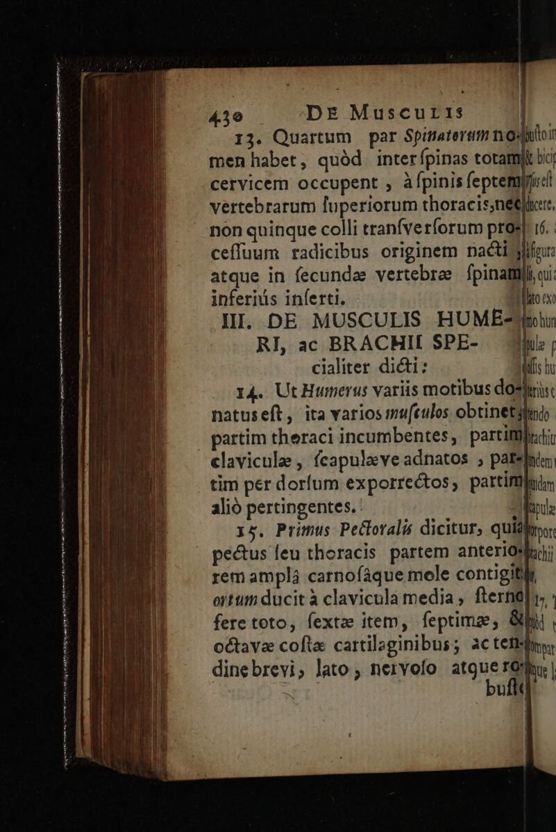 em t tme o mre PAPA A aa ont ti Ma m re ri keen iere ent a En tent C ntn 13. Quartum par Spitatertim nosdiloi men habet, quód. interípinas totam bij cervicem occupent , àfpinis feptemifu:di vertebrarum luperiorum thoracis;netjler, non quinque colli tranfverforum pros i6. ceffuum radicibus originem nacti glifnr atque in fecundae vertebrae. fpina: inferids inferti. Sto ex II. DE MUSCULIS HUME-/mhr RI, ac BRACHIE SPE- — Jh: ; cialiter dicti: Mf b 14. Ut Humerus variis motibus dosheis: natuseft, ita varios muftulos obtinet partim theraci incumbentes, partifjidi clavicule , fcapuleve adnatos ; pateslnir tim per dorfum exporrectos, partifüluim alió pertingentes. Mind 15. Primus PeCloralis dicitur, quisi, pecus leu thoracis partem anteriospay; rem amplá carnofáque mele contigitlr ortum ducit à clavicula media , fterne| p, fere toto, fextze item, feptima Ghi, octava cofta cartilaginibus; ac etis dinebrevi, lato; nervofo atque  ho: | ue T bufkt