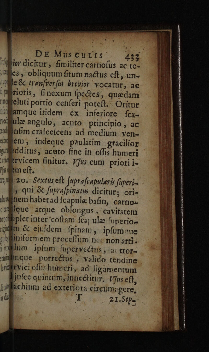 Jes, obliquum fitum nactus eft ,.un- rioris, finexum (peces, quadara jamque itidem ex inferiore f(ca- nfim craíceícens ad medium ven- [em , indeque paulatim gracilior idditus, acuto fine in offis hnmeri Prvicem finitur. fus cum priori i- me ; inem habet ad fcapula bafin, carno-« plet inter'co(tam (ca ulae 'nperio- (TU lum ipfum fupervedus , a; tror- * Jufce qeincum;innectitur. Pus eft, I 21.$ep- Á m mnm n , m — Bá € MM en, f nm me T ——
