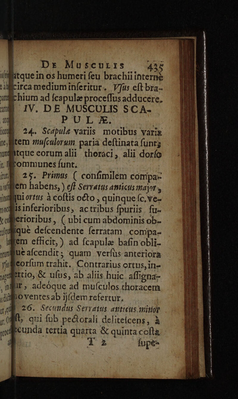 iMitque in os humeri feu brachii interne Bcircamediuminferitur. Vus eft bra- chium ad feapule proceffus adducere, | IV. DE MUSCULIS SCA- P^U,L e. ; 24. Scapule variis motibus vari Jtem zifculorum paria deftinata funt; itque eorum alii thoraci, alii dorío rFommunes funt. | 25. Primus ( confimilem compa- fiflem habens, ) eff Serratus amicus major , iilii or?tts à coftis octo , quinque (c, ve- gis inferioribus. actribus fpuriis. fu- jerioribus, ( ubi cum abdominis ob- ywlique deícendente ferratam | compa- , iem efficit) ad fcapule: bafin obli- yliue afcendit; quam . verfus anteriora lleorfum trahit. Contrarius ortus, in- wulprtio, &amp; ufus, ab aliis huic afligna- nir, adeóque ad mufculos thoracem O ventes ab jjfdem refertur, | 26. Secutidus Serratus. atiticus mitioy fit qui füb pe&amp;orali delitelcens, à ijcunda tertia quarta &amp; quinta cofta E TURCIS — P ——— d