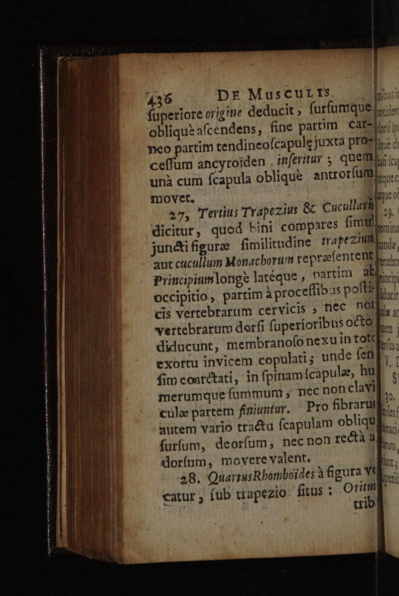 h 436 DE MusCurrs — du füperiote origine deducit, furfumquel.i« obliqueafcendens, fine partim 'Caf-lrrít neo partim tendineofcapule juxta pron|. i ceffüm ancyroiden . inferitur 5, QUEM i; unà cum fcapula oblique antroríufm T movet. c 3 boue o »7, Tertius Trapezius GC Caucullarü| i | dicitur, quod bini compstres fimt Enn jun&amp;i figuree fimilitudine r4 peziul,. Y aut cuculium Monachorum reprofentent) E. principium longe lateque , partim dl nc occipitio , partim à proceffibus po Bo cis vertebrarum cervicis » L.. nec nol vertebrarum dorfi fuperioribus octo| bh diducunt, membranofo nexu intok].-.. exortu invicem copulati ; unde fenp : fim coarctati, in fpinam icapules, huj merümque fummum ,' nec non clavi —€———— rs N mé soríum, movere valent. 48. QuartusRbomboides à figura Yt catur; fub trapezio fitus ; gui; Ipsti mt ojy vedette c qi ee nomo Omni tr