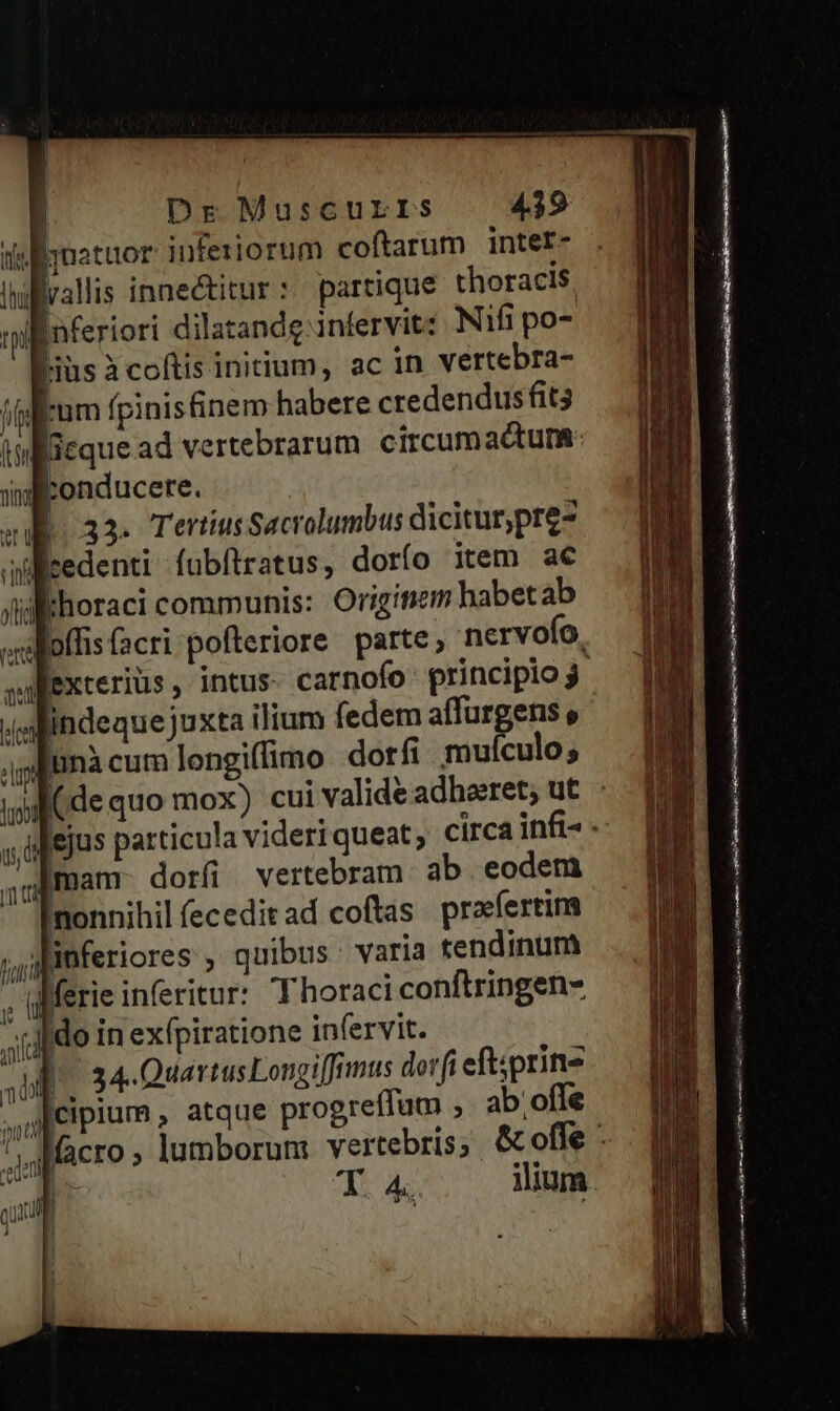 is natuor inferiorum coftarum intet- wlivallis innectitur: partique thoracis. Bnferiori dilatandg:infervit: Nifi po- Hüs à coftis initium, ac in vertebra- iium fpinisfinem habere credendusfit3 fieque ad vertebrarum circumactum: ilkonducere. cd 32. Tertius Sacrolumbus dicitur,pre- wWiltedenti -fubftratus; dorío item a€ whoraci communis: Origiítiem habetab sloffisfacri pofteriore parte; nervofo, sMexterius, intus- carnofo principio 3 (indeque juxta ilium fedem affurgens » gnicumlongifimo dorfi mulculo; (ide quo mox) cui valide adheret; ut ejus particula videri queat; circa infi- Imam- dorfi vertebram ab eodem nonnihil fecedit ad coftas praefertim ji finferiores , quibus varia tendinum , ierie inferitur: T horaci conftringen- Jd ido in exfpiratione infervit. zd ul. 34. Quartus Longiffrmus dorfi eftsprine il ciplum , atque progreffum , ab. offe jg Macro» lumborum vertebris; &amp; offe : C qt A. ilium purs