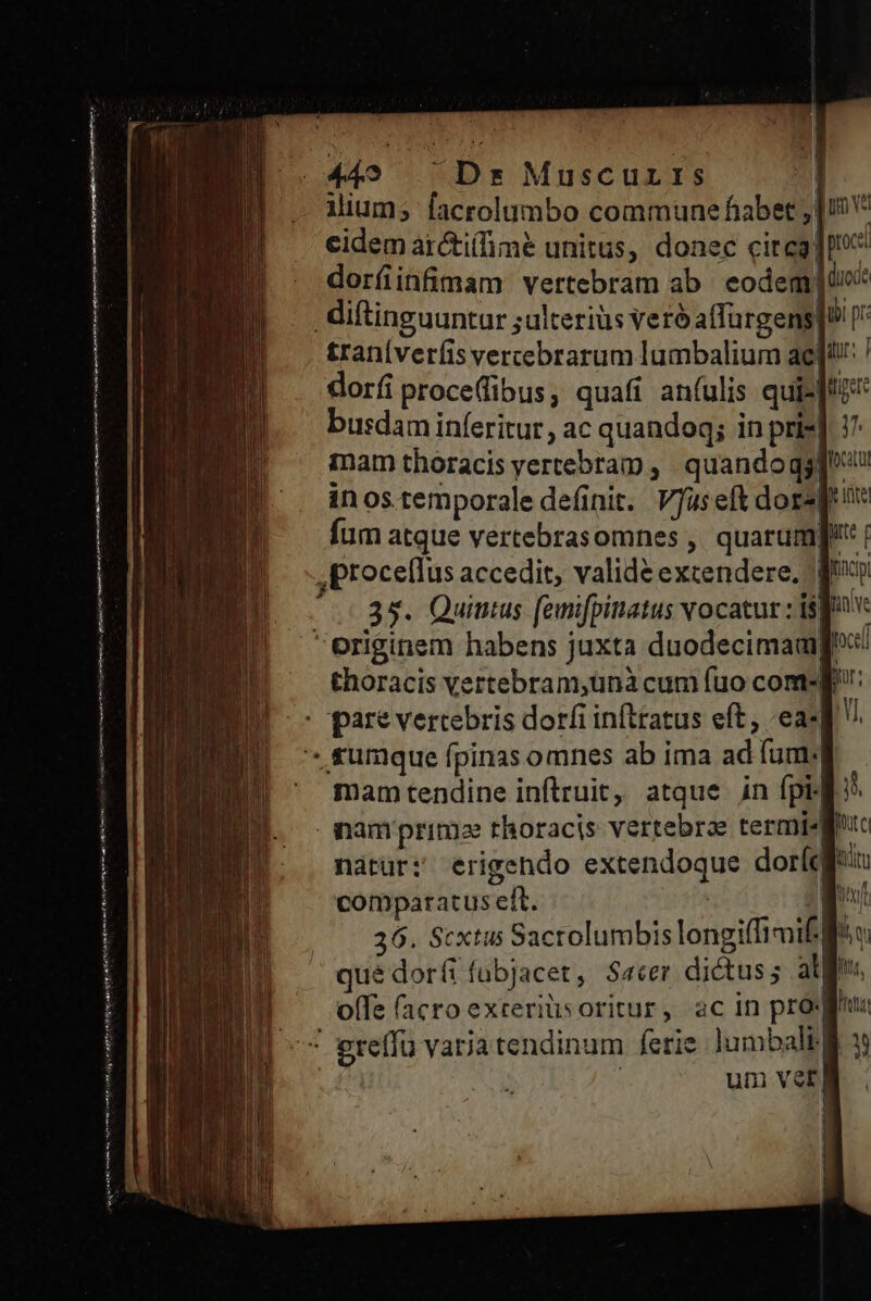 NN lu E 44^ Ds Muscurrs | B. odium; facrolumbo commune fiabet , |i cidem arctiífimé unitus, donec circa ]D* dorfiinfimam vertebram ab eodem; dioi i diftinguuntur julterius Veró affurgens | ibi pr traníveríis vercebrarum lumbalium ae: | dorfi proce(libus, quafi an(ulis quil busdam inferitur , ac quandoq; in pris inam thoracis yertebtam , quando ggf! in os.temporale definit. Vjfaseft dorspie fum atque vertebrasomnes ,, quarum] | ,procellus accedit, valide exczendere, qc 35. Quintus femifpinatus Vocatur : i$] originem habens juxta duodecimamg: thoracis vertebram,ünà cum fuo com- E: DU parevertebris dori infttatus eft, ea-d | umque fpinas omnes ab ima ad fum: mam tendine inftruit, atque in fpil . mam prima rhoracis vertebroe termisline natur: erigendo extendoque dorf comparatus eft. | p 36. Scxtus Sactolumbis longi(fimif so qué dorfi fübjacet, Sacer dictus; alf. Sm a n atm rnt n :- - ] - peqeocet Ron —- ———— A m E ue Ce EE ERE RM — offe (acro exteriüsoritur, ac in profi: ^* greffu varia tendinum ferie. Jumbalt lE 3: | | um vé