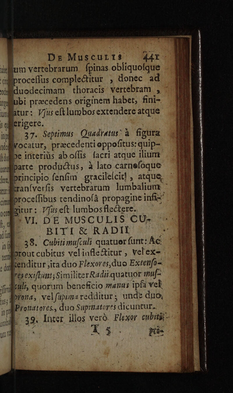 aM Dr Muscurt$ — 44r iium vertebrarum | fpinas obliquofque alfiproceffus complectitur , donec ad sididuodecimam . thoracis: vertebram iglfubi precedens originem habet, fini- uwfatur: VJus eftlumbos extendere atque :ayerigere. n 37. Septimus. Quadratus: à. figura allvocatur, praecedenti oppofitus: quip- infipe interiüs ab offis. facri atque ilium w]parte productus; à lato carnefoque &amp;iprincipio fenfim gracilelcitd! , atque NE amfiproceffibus tendinofà propagine infi- oMmirur: vus eft lumbosflectere. | q^ VI. DE MUSCULIS CU- dE. .BITI&amp; RADII | |. 38. Cubitimafculi quatuer fant: Ac: | inp m un W | à À 2 / us | ) ! ! n Óá e E