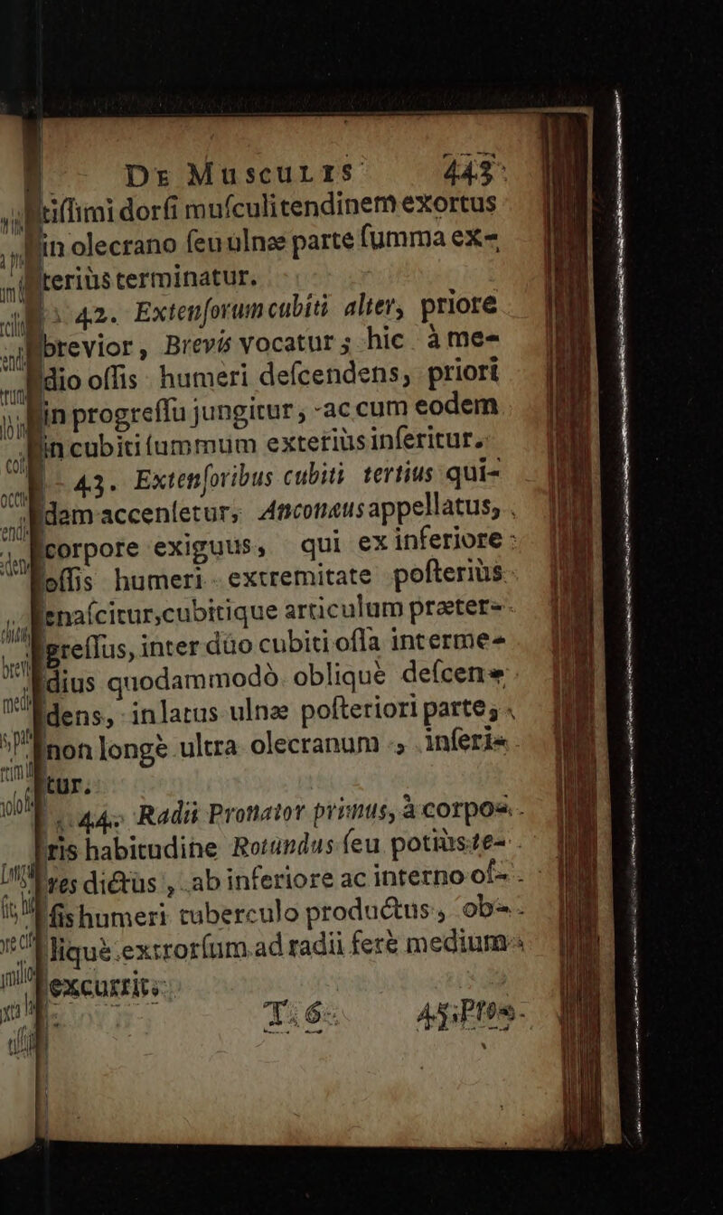 —- € iftiflimi dorfi mufculitendinem exortus n in olecrano feu ulnas parte fumma ex- m igterius terminatur. ^| [ AE 42 Extenforum cabíti alter, priore al Ibrevior , Brevis vocatur ; hic. à me- eio offis . humeri defcendens, priort vin progreffu jungitur, -ac cum eodem En cubiti íammum exteriüsinferitur.: 43. Extenoribus cubiti: tertius qui- , dam accenletur; Anconeus appellatus, ^ eorpore exiguus, qui ex inferiore : lo(lis humeri - extremitate pofterius s fenaícitur,cubitique artic ulum praeter-- . greffus, inter duo cubiti ofla interme-^ ; [dius quodammodÓ. oblique defcene ! dens, inlatus ulnze pofteriori partes « 'Inon long? ultra olecranum :; inferis. tur. 1 T oae Rad Pronator primus, à corpos. ris habitudihe Rotündus feu potiuse- . t s humeri tuberculo produ&amp;us, ob-. M liquà.exzroríum ad radii fer&amp; medium Pexcuzrire: | OH Tiós. — ApPS-
