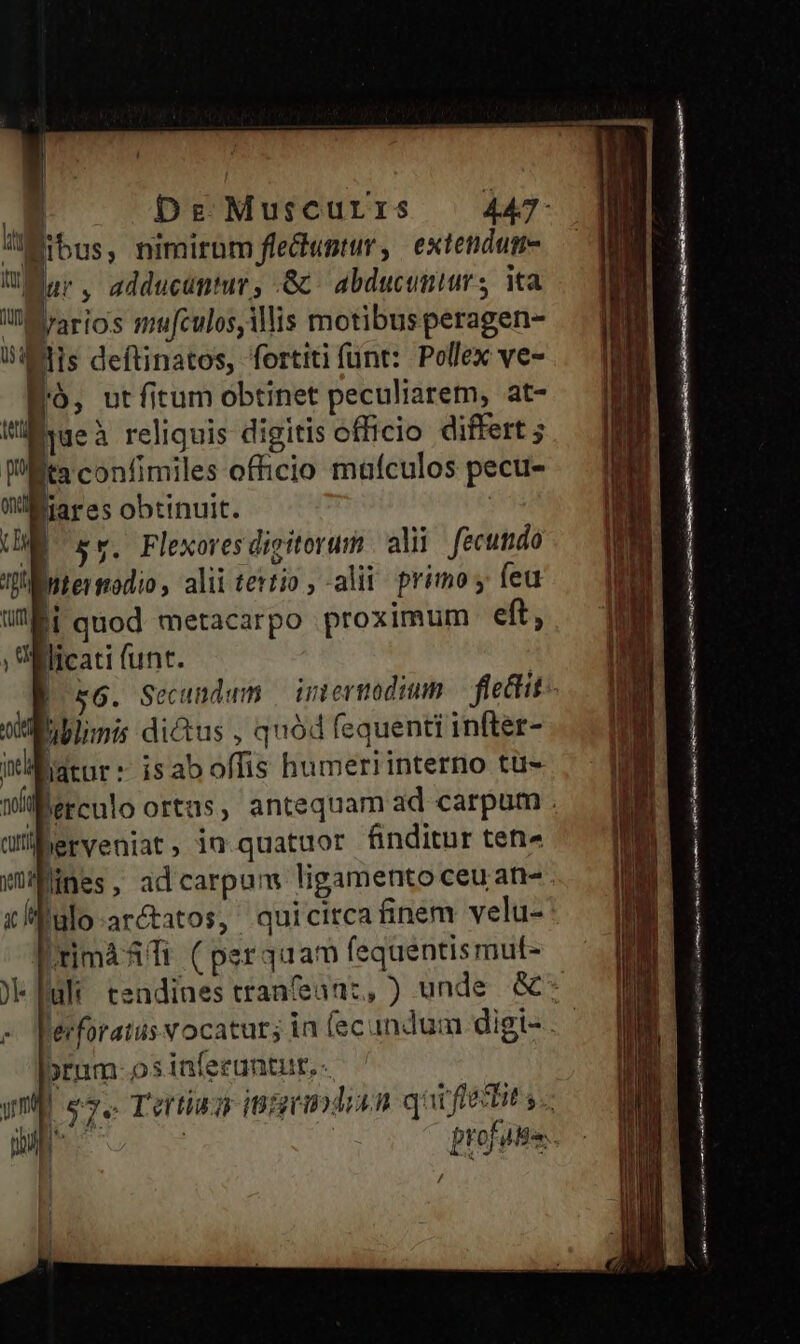 A. De Muscurrs 447- Jütbus, nimirum fleduntur, extendum- UM. adducuntur, .& abducumurs ita l'Mrarios mtu[culos,ilis motibusperagen- Wiiiis deftinatos, fortiti funt: Pollex ve- ó, utfitum obtinet peculiarem, at- jueà reliquis digitis officio differt ; taconfimiles officio mafculos pecu- liares obtinuit. W sr. Flexores digitorum | alii fecutido nteimodio, alii tertio , alii. primo y feu i| quod metacarpo proximum eft, licati (unt. tui liblimis dictus , quód fequenti infter- Watur: isaboffis humeri interno tu- jerveniat, in quatuor finditur ten» fines, ad carpum ligamentoceuan- lulo-arétatos, quicirca finem velu- (rimàaTi (psrquam fequentismut- bpEnm- os inferuntur, - s | 97e Tert ipsgridisn quiflestit s. ni | / Me iaa E pfe et i tert I SCIEN rali Er