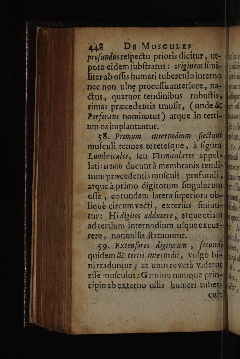 - í———Á————— Mnt ommno ois mite n mien ict ita! t m en m t e m a mi 448 Ds Muscurrs - profundus zeípectu prioris dicitut , ute 4h: pote eidem fübflratus: origínem fimis dii liter ab offis humeri tuberculo interno. Juri d nec non- ulng proceffuanteriere , nas dia: num praecedentis mufculi . profundis; atqueà primo digitorum fingulorum, cíle , eorundem latera fuperiora ober; lique citcamvecti, exteriüs. finiune Miu tur: Hi digitos adducere ,, 3tqueetiam Wi ad.tertium internodium, ufqueexcurelk. rere, nonnullis .ftatuuntur. | 7 59. Extenfores. digitorum y. fecundillo.. quidem & tertiz.intermodit, vule bie| kii nitraduntur; at unusreverà videtut llo - efíà nufculus: Gemino namque prinel. cipioab externo offis. humeri. e | culc | | 1
