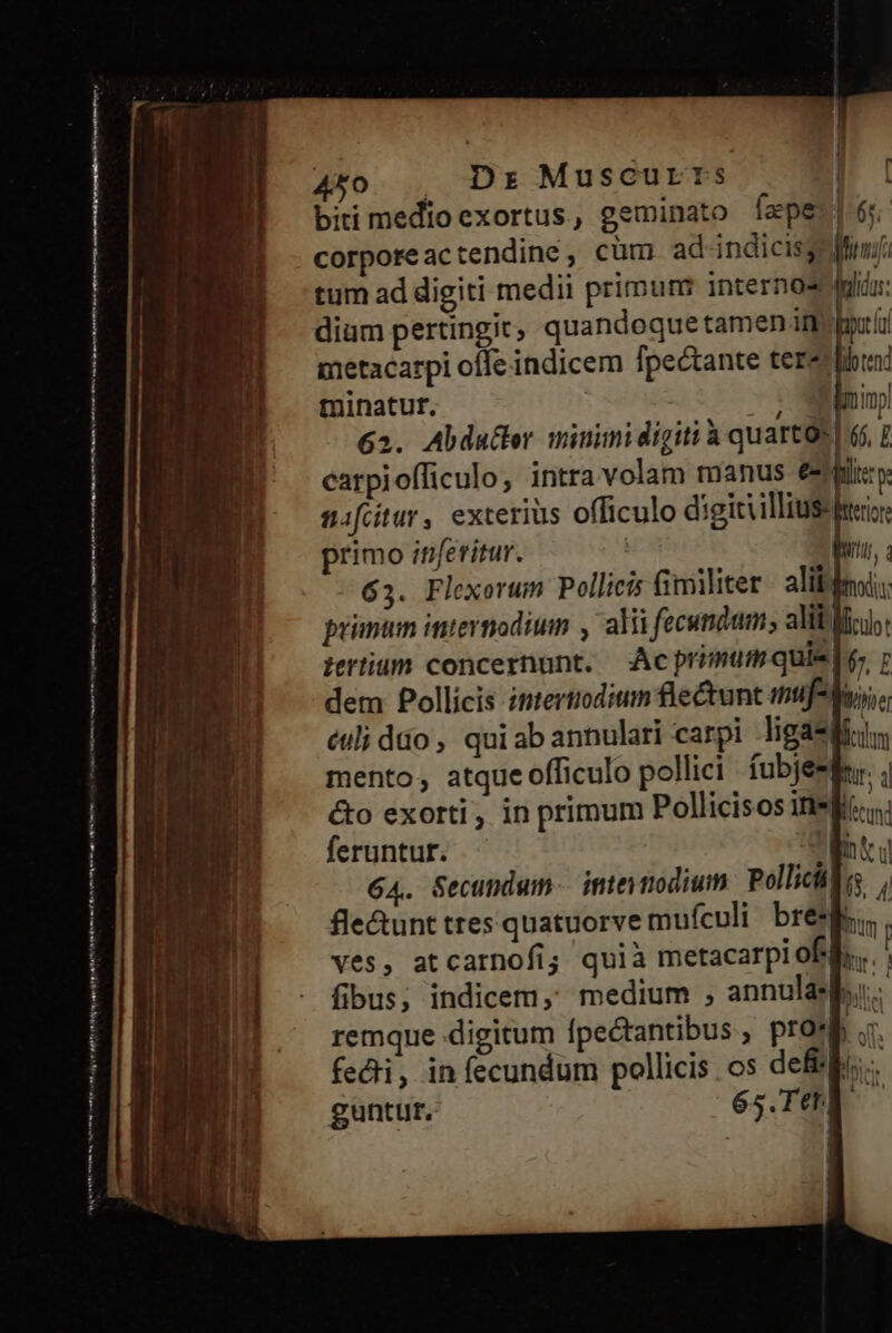 ERRARE m Hmm f MENTI CH NACH epe I tm t me C me 450 Dr Muscurrs biti medioexortus, geminato Íape-| 6; corpore ac tendine , cüm ad indicis; Mini tum ad digiti medii primunz internos plius: dium pertingit; quandoque tamen if port metacarpi offe indicem fpectante terze liti minatur. GHI Imp 62. Abda&ter minimidigiti à quarto» | 6$, carpiofficulo, intra volam manus elis» nafcitur, exterius officulo digitiillius py primo inferitur. | 39 nu, 63. Flexorum Pollicis fimiliter alibi: pinum internodium , alii fecundam; alit fiu: iertium concernunt. dAcprimum quien r dem Pollicis iptertiodimn flectunt inue, éuli dio , qui ab annulari carpi ligas ficdm mento, atque officulo pollici fubjeslirr. &o exorti, in primum Pollicisos iek:u feruntur. mtu 64. Secundum. imetiodium. Pollicis, fle&unt tres quatuorve mufculi bresgs,, ves, atcarnofi quià metacarp! of... fibus, indicem, medium , annulas i. remque digitum Ípectantibus , pron .r. fedi, in fecundum pollicis os defi. guntur. 65.Ttt. | | |