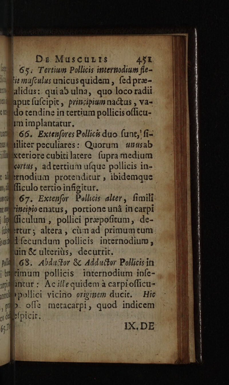 ME 65; Tertium Pollicis imtertiodium fte- Mt mafculus unicus quidem , fed prae- alidus:. quia5 ulna, quo loco radii ngaput fufcipit ,- principium nactus , va- ido tendine in tertium pollicis officu- Bim implantatur. |66, Extenfores Pollicis duo funt; fi- wüMiliter peculiares: Quorum «nusab ilifiteriore cubitilarere fupra medium Beortus , adtertium ufque pollicis in- t d:ernodium protenditur ; ibidemque ijdafficulo tertio infigitur. - 67. Extenfor Pollicis alter, fimili uilfliteipioenatus, portione unàá in carpi Aofifficulum , pollici prpofitum , de- üMettur; altera, cimad primumtum 50 dfecundum pollicis internodium; luin & ulteriüs, decurrit. M. GS. Abdutor Gc Adductor Pollicisin |Mirimum pollicis internodium infe- qilfntur :: Ac i/lequidemà carprofficu- pulp polici vicino erzgipem ducic. — Hic Mp. offe metacatpi, quod indicem s Uliefpicir. ' TM , IX.DE í li | pee $. e d mo —— A ÓeÓ RT y Ln - -Re-9mc— ia E - —T mos e cmi Tm ro moin mE : eek afr coi i rmi e NES m a E Rr —--— CLIE : — E EC LETRA EGRIEUE LL E REPAS ENZLICGMEEem oM