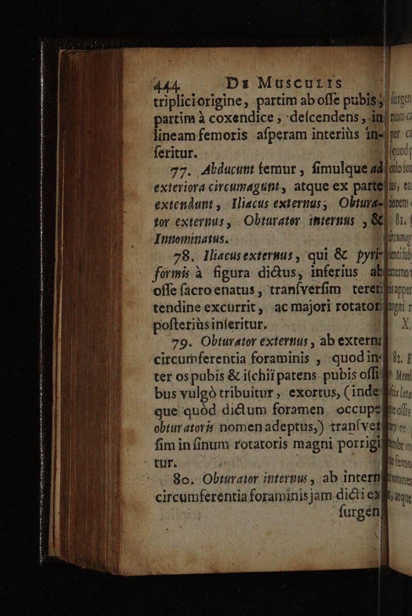 E E———— MA cte ome imr oj e ate c Eni oen Ig gl t mms (Rem me nt am m ae I i Drs: Muscurrs : tripliciorigine, partim ab offe pubis lugo partim à coxendice ; :delcendens , nimc lineamfemoris afperam interiüs inem c Jon 77. Alducutit femur , fimulque addatoío exteriora circumagttt, atque ex partelis, « extendunt ,.1liacus externus Obturazduxn. tor exterpus , Obturator. internus. , &amp;] 5. Intowitiatus. Eu 78. lliacusexteruus , qui &amp; pyrilinut formis à figura dictus, inferius abjumo offe facro enatus , tranfverfim | tereti: tendine excurrit, ac majori rotatorfni : pofteriüsinferitur. I X 79. Obturator externus , ab exterti| circumferentia foraminis , quod img i ; ter ospubis &amp; i(chii patens pubis offtff 1s bus vulgó tribuitur , exortus, (inde TI que quód diclum foramen. occupsgi(i; obturatoris nomen adeptus,) tran(vetlo: fim in (inum rotatoris magni porrigitur, tur. | iam 9o. Obturator internus , ab intertlitun. circumferentia foraminisjam dieti egoa; furgeén V | ^