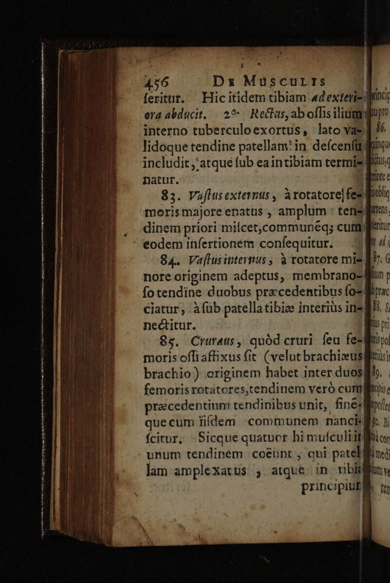 | TTE 4.56 Dx Müscurrs | feritut. Hicitidem tibiam «dexteri- d era abducit. |. 29: Reclus, aboflisilium interno tuberculoexortus, lato vae lidoque tendine patellam: in defcenfitf includit atque fub eaintibiam termis f natur. | 83. Vüflusextermus , arotatore|fes f! morismajore enatus , amplum : teris dinem priori milcet,communéq; cufili  eodem infertionerm confequitur. 84. Va[lusinternus, à rotatore mie nore originem adeptus, membrano- gf fo tendine duobus precedentibus (o2 8 Ciatur , à füb patella tibiee interius ire nectitur. | 85. Cruraus, quód cruri feu fe-Wu moris offiaffixus fit. (velut brachiseusgfuu; brachio) originem habet inter. duos femoris rotatores,tendinem veró cum praecedentium tendinibus unit, fined que cum lidem communem nancir fcitur. -Sicque quatucr hi mufculiit gl . unum tendiném coéünt , qui patel ffi lam amplexatus , atque. in nbi e ed