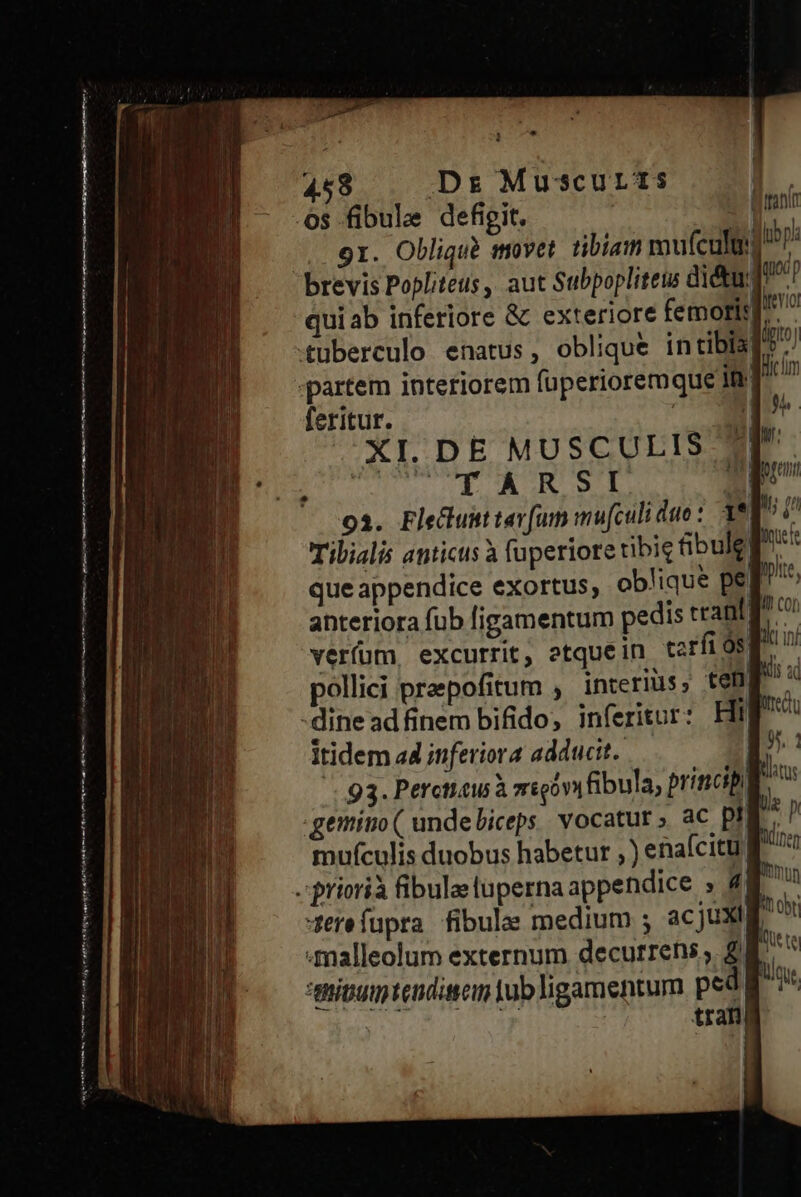 ————   ————————————— P à e e sa m Ent m e me dye dla ch hti nee tI m tn mee e meth nmm ae tmi | | 458 Ds Muscurts lubpl qoi ltevro lintoj cm or. Obliqub movet tibiam voufculim qui ab inferiore &amp; exteriore femoris feritur. | XI. DE MUSCULIS E itx PmMUE EP Leod * oan 912. Flectust tav[u muf[culi dito : 1* Lh /' Tibialis anticis à fuperiore tibie fibule inci que appendice exortus, obliqué pe pite, anteriora fub ligamentum pedis crant f? verfum excurrit, otquein tarfi os ^ pollici praepofitum , interius, tem pu recru Itidem a4 inferiora adducit. '. 93. Perctieu à migovi fibula, principi 4 gemino ( undebiceps. vocatur, ac p. mufculis duobus habetur , ) enaícitu f serefupra fibulas medium ; acjux | NUR te i malleolum externum decurrens, £6 mipumtendiscm lub ligamentum ped E n trang |