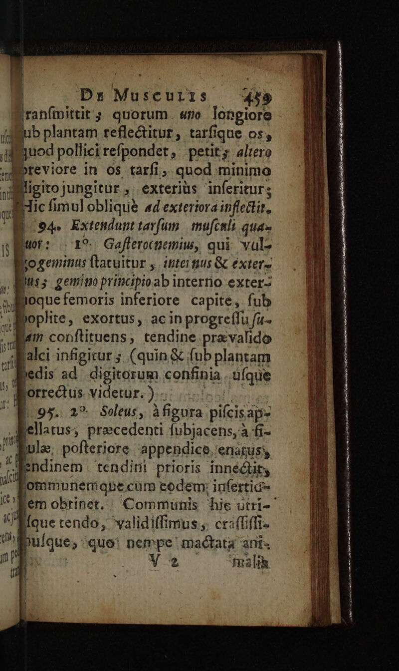 | | id | Dx Muscuris dio iranfmittit; quorum. «po longiore Bub plantam refle&itur, tarfique os, fuod pollici refpondet, petits altero Ipreviore in os tarfi ; quod minimo igito jungitur ,. exterius inferiturs al H Hic fimul oblique d exteriora inflcttit. Wi B 94. Exteudunttavfum | mufcsli qua» wo: | 1*. Gafferocpemiw, qui vul- zo gemitius ftacuitur y. inter mus & éxter» Russ gemino principioab interno exter- Jfpoque femoris inferiore capite, fub n joplite, exortus, acinprogreffu fu- Aem conftituens, tendine pravalido Jalci infigitur ; (quin & fub plantam | n uta HI i BU qu st ut Bedis ad digitorum confinia , üfque orrectus. videtur. ).-. 95, 29. Soleus, àfigura. piícisaps lellatus; precedenti fubjacens, à fi- jula; pofteriore appendice, enagus ndinem tendini prioris innédiry ommunemqbe cum eodem: inferticd- jer obrinet. ic Hque tendo, validiffimus:,. craffiffi- LI ! EN quo: nempe mactata anis n ), 4 [ LU num UM. d j s ) did z: - «X ETE ar zat qua oi MEM I. rm a (S iem —- EL x jet ape YR D MEI c
