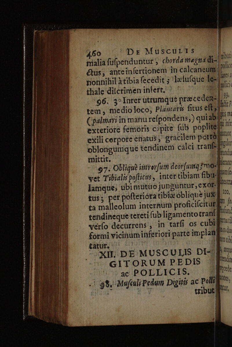 ——————— I — pnR———————— RIA  m T Á ÀÀÀÀáÀ P € MÀ Ve mrt ma itu ementi omt iiy cate V MT ch Anne Ig a n mea qe mt m ae — cwm i | &amp;us, anteiníertionem in calcaneum jp nonnihil tibia fecedit 5 Ielu(que les thale dilcrimen intert, ^ ' 3 inc 96. 3^Inrer utrumque praecedeme] 7 tem, medioloco, Plastari fitus eft, P Cpalinari in manu refpondens;) qui abf exteriore femoris capite fub poplite]? exili cerpore enatus ,' gracilem porro pblongumque tendinem calci tranf-| kir mittit. ppundu 97. Oblique iitrevfut deorfuita 0021 vet Tibialis poflicus , inter tibiam fibt nf lamque; ubimutüo junguntur, exot- iut tus; pet pofterióra tibia obliqu&amp; jux; 199, ta malleolum inter&amp;urm proficiícitur| m tendineque tereti fub ligamento cranf| fun verfo decurrens , in tarfi os cubil rct] £ormi vicinuminferiori parte implan| kai £atur. ^ ^7 | I tib XIH.DE MUSCULIS PDI-/| | diu VJ GITORUM PEDIS Jf: ac POLLICIS. | RC | 98. Mufculi Pedum Digitti a E c Polli tribut B: