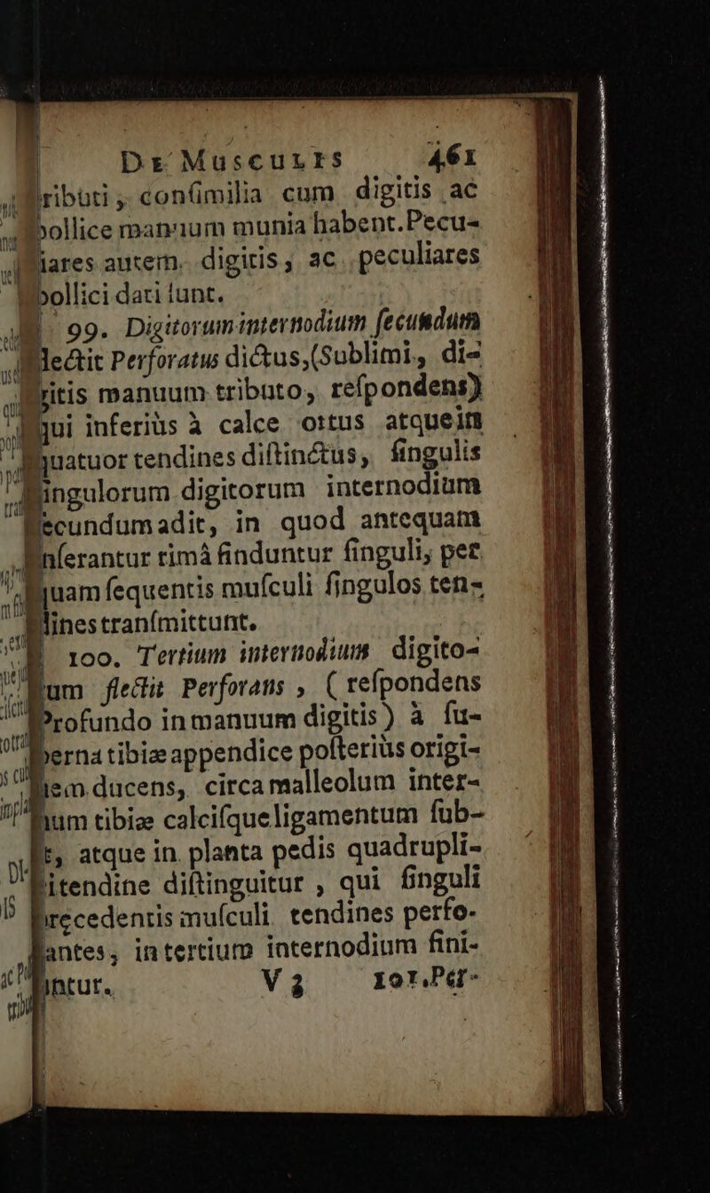 Ds: Muscuzrrs A61 ributi, con(milia cum digitis ac ,4mollice manum munia habent.Pecu- lares autern. digitis, ac peculiares  bollici dati lunt. Jm. 99. Digitorum imtermodium fecumdum A lectit Perforatus dictus, (Sublimi,, di- Artis manuum tributo; refpondens) Bhui inferius à calee ortus atqueitt lu l | V. M pour tendines diftin&amp;us, fingulis ,Aaingulorum digitorum internodium Becundumadit, in quod antequam inferatur rimá induntur finguli, pe£ i p (equentis mufculi fingulos ten B linestranfmittunt. ME B roo. Tertium internodius digito- (gum flit Perforaus ( refpondens dProfundo in manuum digitis) à fu- perna tibia appendice polterius origt- lem ducens, circa malleolum inter- lum tibiz calcifqueligamentum fub- y t, atque in. planta pedis quadrupli- litendine diftinguitur ; qui finguli ? Birecedenris muículi. tendines perfo- Jantes; in tertium internodium fini- Ü Borur. V3 101,Pqr- Jl pur