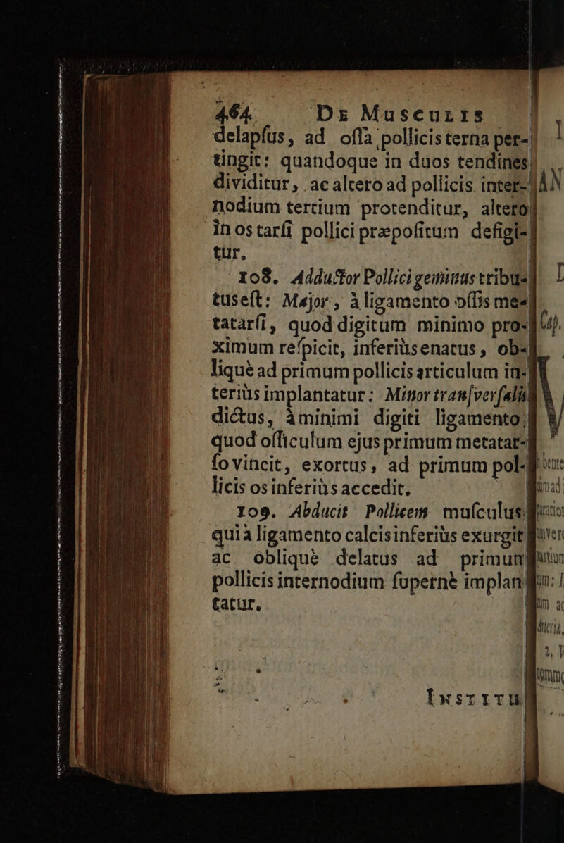 s —Á— — I e E 464. Dz Muscurrs —— delapfus, ad offa pollicis terna per-/ tingit: quandoque 1n duos tendines) .. dividitur, ac altero ad pollicis. intet-! ÁN | tur. 108. Addu&amp;r Pollici geminus tribus] 1 tuseft: Major, àligamento (fis me«| tataríí, quod digitum minimo pro- (4). ximum refpicit, inferiüsenatus, ob«| liqué ad primum pollicis articulum itr] terius implantatur:; Minor tram|[ver(all V | dictus, minimi digiti ligamento; quod officulum ejus primum metatat-f fovincit, exortus, ad primum pol-Bix licis os inferià s accedit. E 109. Abducit Pollicem muículus guo qui à ligamento calcisinferiüs exurgit llt: ac Oblique delatus ad primumfguu pollicis internodium fuperné implangu: | tatur, | E | Uni Hu QW Ixstz1ivuM —