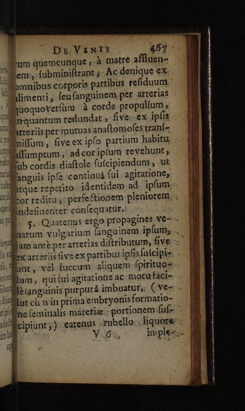 | ^ Dz, VENIS ( U hum quemcunque , à matre affluen- » lem, (übmipiftrant 5- Ac denique ex  omnibus corporis partibus refiduum Jimenti, feufanguinem.per arterias : hüoquoverfüm à corde propulíum ; mrquantum redundat , five. ex ipfis n hrreriis per mutuas anaftomofes traní- Ü Iniffum, fiveex ipfo partium habitu. Ji hffumptum , ad cor ipfum revehunt ;. VM ab cordis diaftole fufcipiendum , ut Wanguis ipfe contiàbà fui. agitatione, itque reperito- identidem ad. ipfum iW Mindefünenter con(equatür. 1 Wiex arteriis five ex partibus ipfis falcipie lane, vel fuccum. aliquem fpirituo- nium, quifui agitatione ac motu faci- iile Languinis purpurá imbuatur,. ( ve- lilt cii o in prima embryonis formatio- üm ud j uu Y Óó ia VS nm RE - ———— Á —MÁáÓ ÍT en