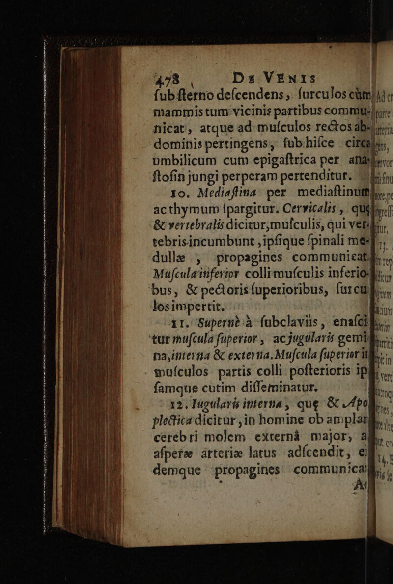 —————— tete meta na crt rmt mL jm ite n A tons eae dtt wx | | 478 , Ds VENIs | fub fterno de(cendens ,. furculos cüm/ mammis tum vicinis partibus commu!  Mufculaitiferior collimufculis inferioxdo., Bien. fucum Bir los impertit. : ir. Supern?:à fubclavis, enaíci ! ' putt Din i Yert Witon En. nayititertia &amp; extera. Mufcula fuperior t muículos partis colli: pofterioris ip famque cutim diffeminatur, | 12. Iugulavá itterta , que. G Apo plectica dicitur jn homine ob amplat cerebri molem externà major, a afperse arterio latus adícendit, er, demque propagines communical, Mtt Wt ch