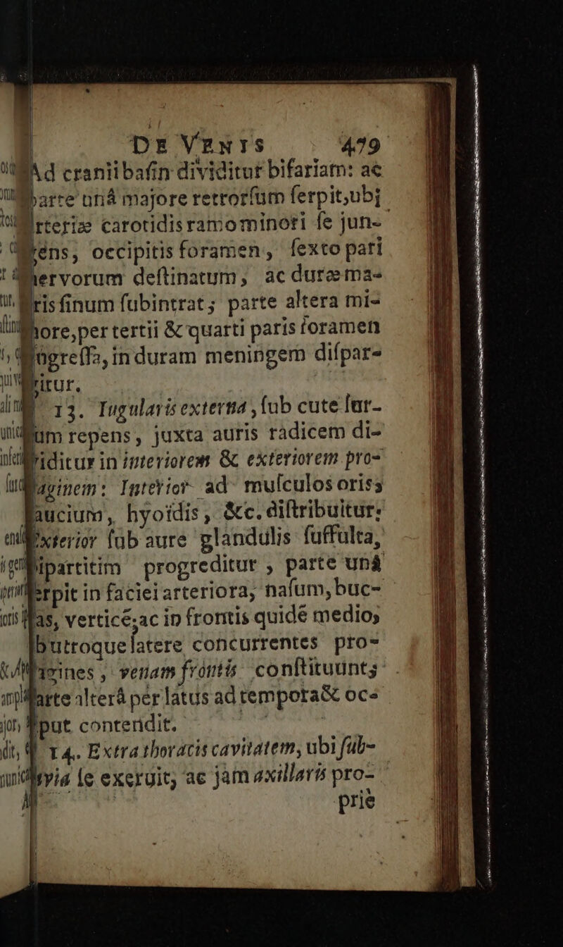 WA d crantibafin dividitur bifariatn: a€ Üirteriz carotidisramominoti fe jun- V E Biens, occipitis foramen, fexto pari !MMervorum deftinatum, acdurema- i Mrisfinum fubintrat; parte altera mi- ly ore Der tertii &amp; quarti paris 'oramen ^ Siügreffa, in duram meningem difpar- Uirur, iin B 13. Iugulari exterta ,fab cute fat- idm repens, juxta auris radicem di- nlbidicur in ipteriorem. Gc exteriorem. pro- üWarinem: Intttio- ad^ mulculos oris; faucium, hyoidis , &amp;c. diftribuitur: dillixrerior (ab aure glandulis fuffulta, ig bipartitim progreditur , parte uná ilerpit in faciei arteriora, nafum,buc- o5 fas, vertice;ac ip frontis quidé medio; butroque atere concurrentes. pro- Vl iPieines ; | veram frontis! conftituunts: iiMarte 1lterá pér latus ad tempora&amp; oc» ji Éput. conteridit. : ái dt; QT 4. Extra thoracis cavitatem, ubi füb- andisyis le exergit; ac jam axillaris pro- a prie 1 m——— cm w———MMÁÁ—— € -—— p— n1 DI