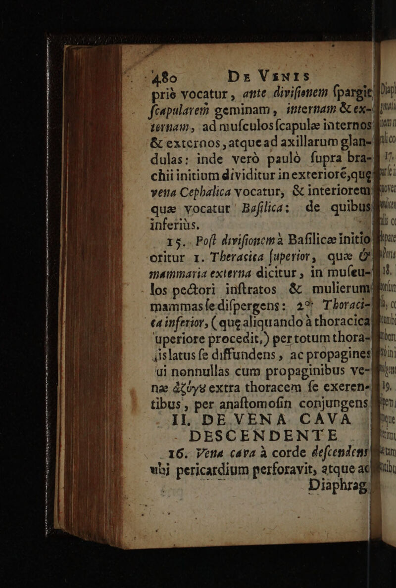 Diap piii chii initium dividitur inexterioré;que inferius. | 15.. Pofl divifioncm à Bafilicee initio mammaria externa dicitur , in mufeu- los pecori inflratos &amp; mulierum mammasledifpergens: 29* Tboraci- Dui o nae dZoyg extra thoracem fe exeren. uhi pericardium perforavit, atque ac