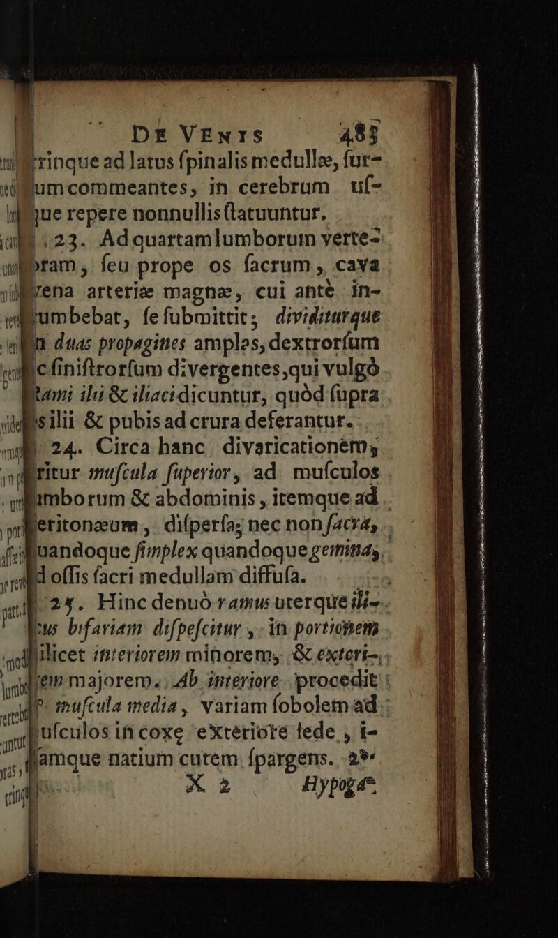 | b Dr VEew:S —— a$j !Errinque ad latus fpinalis medullae, fur fum commeantes; in cerebrum uf- j jue repere nonnullis latuuntur. (ue «23. Adquartamlumborum verte- »pram , feu prope os facrum , cava jü ena arteriee magna, cui ante in- rumbebat, fefubmittit; dividuturque Bn duas propagities amples, dextrorfum lind cfi finiftrorfum divergentes;qui vulgó tami ilii & iliaci dicuntur, quód fupra sdlsilii & pubisad crura deferantur. mt | 24. Circa hanc divaricationémg i ritur mufcula fuperior, ad. mufículos 3 offis facri medullam diffufa. rw bifariam: difpefcitur y. in. porticnem qi lilicet itieriorem mitiorem; ;& exteri. 2 jutcilos; 1f coxg eXteriote lede , i- ,,flamque natium cutem Ípargens. a» p p X Hypog 4^ asit adobe et mati mei iN fit mi ve IR I mrs 34 Gu Rr Mn om
