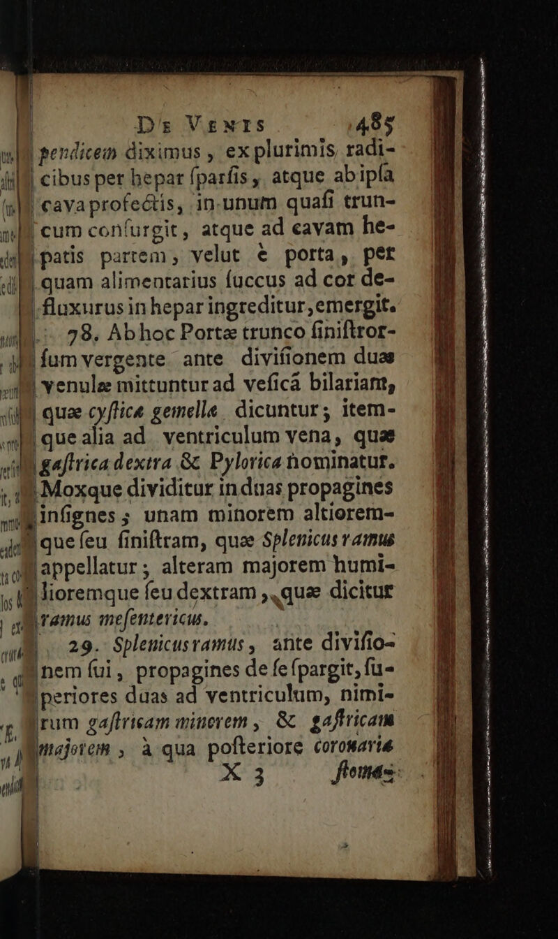 Ds; V£XTS 495 wg pendicem diximus , ex plurimis, radi- iii | cibus per bepar fparfis,, atque abipía ts|f cavaprofe&amp;tis, inunum quafi trun- ul u ql cum confurgit, atque ad cavam he- dM patis partem, velut e porta, pet 4i. quam alimentarius fuccus ad cor de- | lluxurus in hepar ingreditur, emergit. ule... 28. Abhoc Porta trunco finiftror- gi fum vergente. ante divifionem duas 39 Yenulze mittuntur ad veficà bilariant, JU quae cy fice. gemelle | dicuntur; item- alm que alia ad. ventriculum vena, quae JU gaffrica dextra Gc Pylorica nominatur. ; 1$ Moxque dividitur in duas propagines .ueinfignes; unam minorem altiorem- a l que feu finiftram, quae Splenicus ramus lappellatur ; alteram majorem humi- I lioremque feu dextram ,,quee dicitur | remus amefentericu. aum. 29. Splemicusramus , ante divifio- Aa nem (ui, propagines de fefpargit, fu |periores duas ad ventriculum, nirmi- q, grum gajtrisam minevem , &amp; gaftricam iJ jnajorem , à qua pofteriore corowaris | h | [ | I h i Ü i T X 3 n———— MA RR p——— M